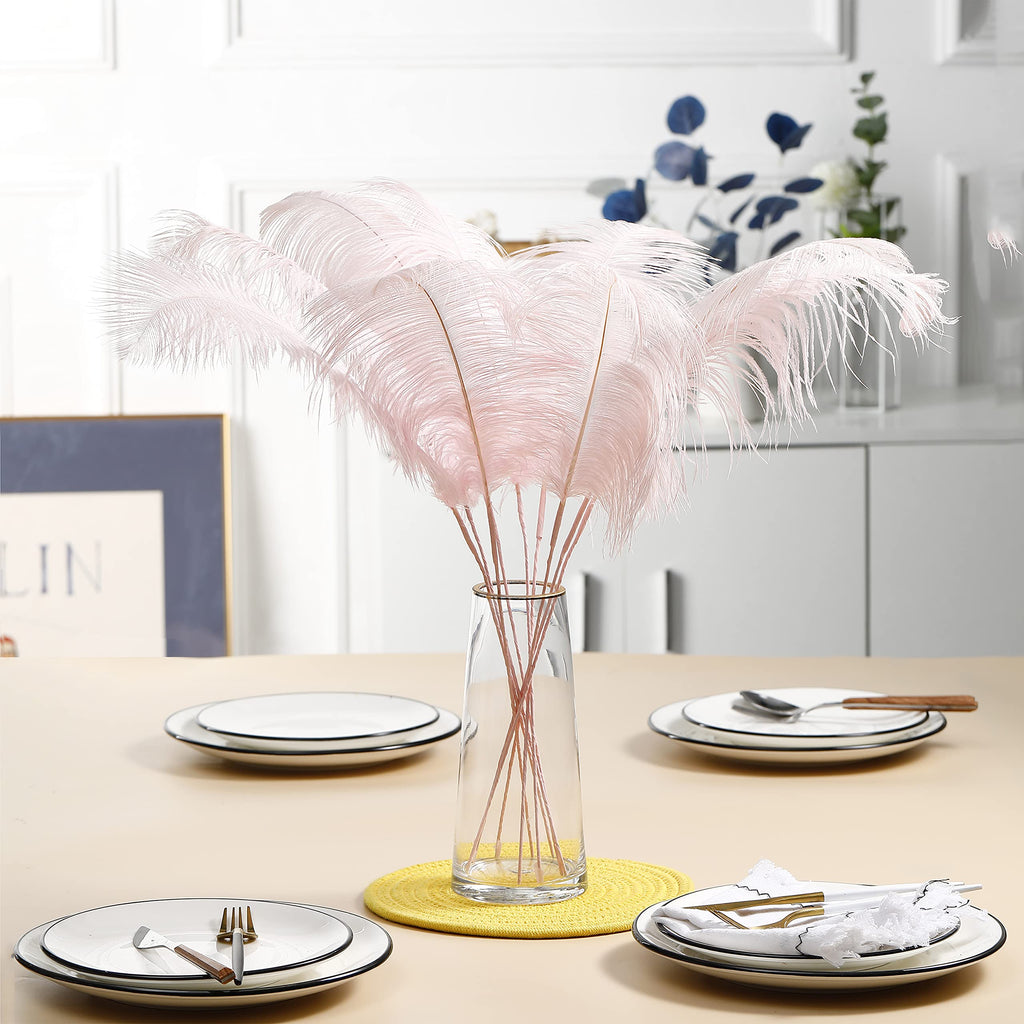 Ballinger Black Ostrich Feathers Bulk - Making Kit 12Pcs 16-18inch Large Ostrich Feathers for Floral Arrangement, Vase, Wedding Party Centerpieces and Halloween Home Decor