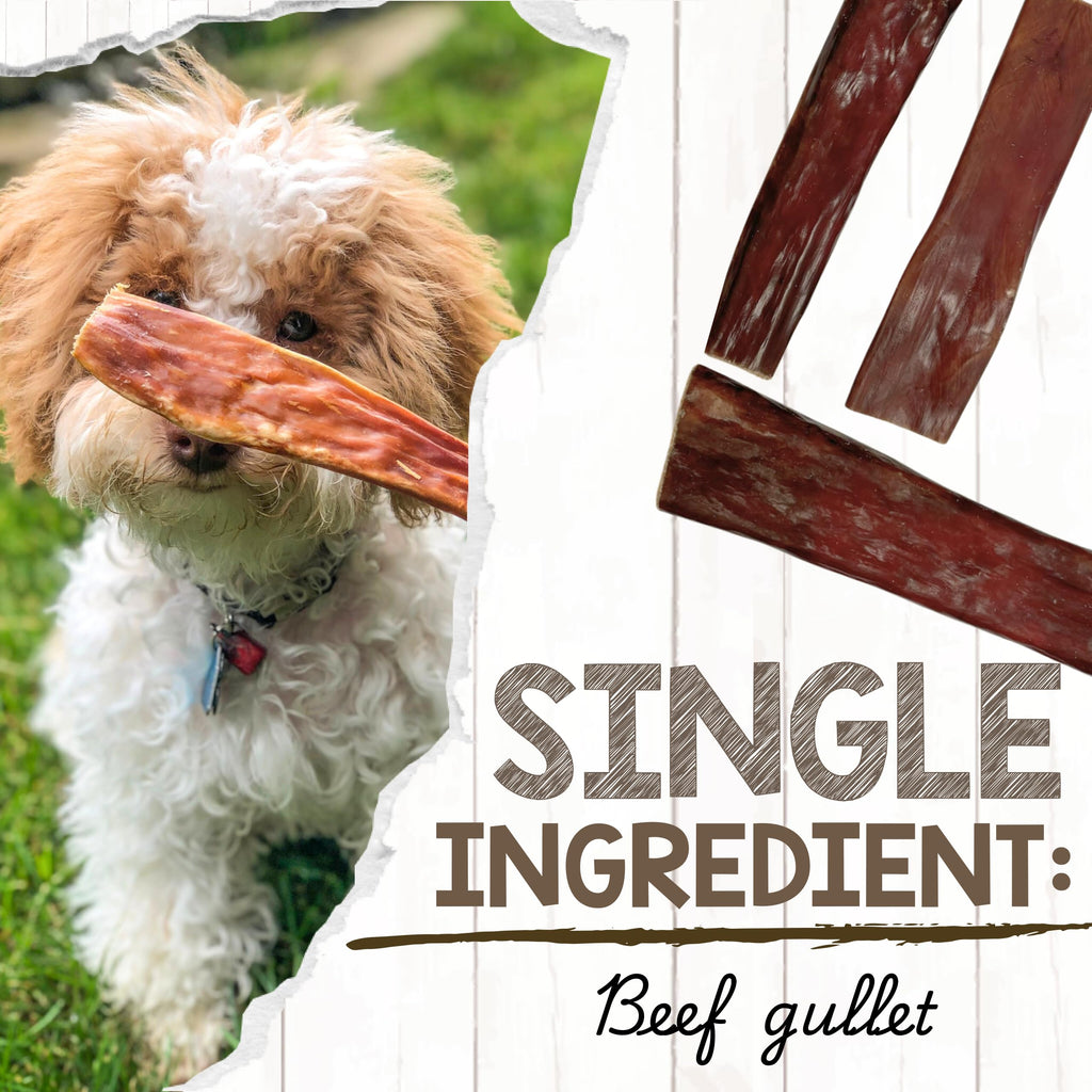 Nature Gnaws Beef Gullet Chews for Small Dogs 4-5" (20 Count) - Natural Beef Jerky Stick Dog Chew Treats - Rawhide Free