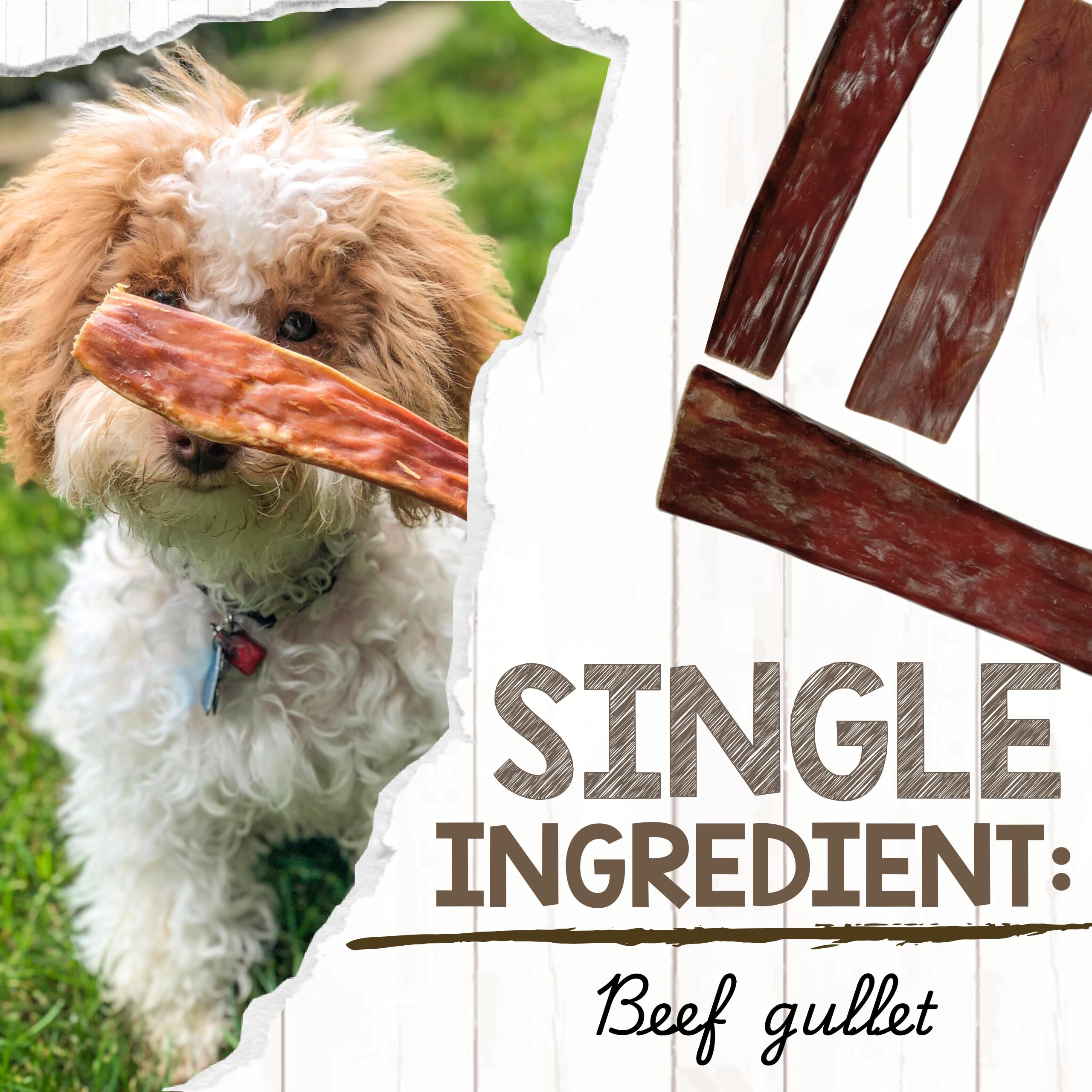 Nature Gnaws Beef Gullet Chews for Small Dogs 4-5" (20 Count) - Natural Beef Jerky Stick Dog Chew Treats - Rawhide Free