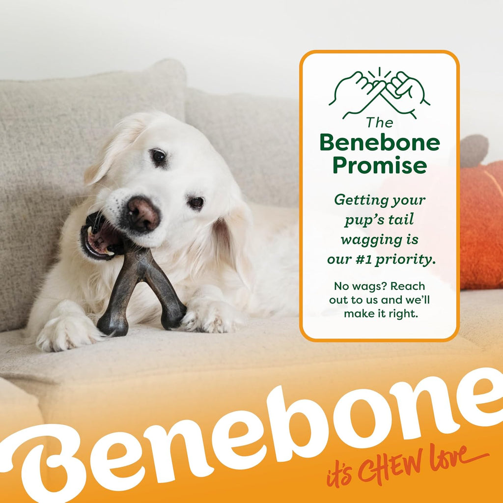Benebone Pumpkin Spice Wishbone – Limited Edition Flavor, Durable Dog Chew Toy for Aggressive Chewers, Made in USA, Medium