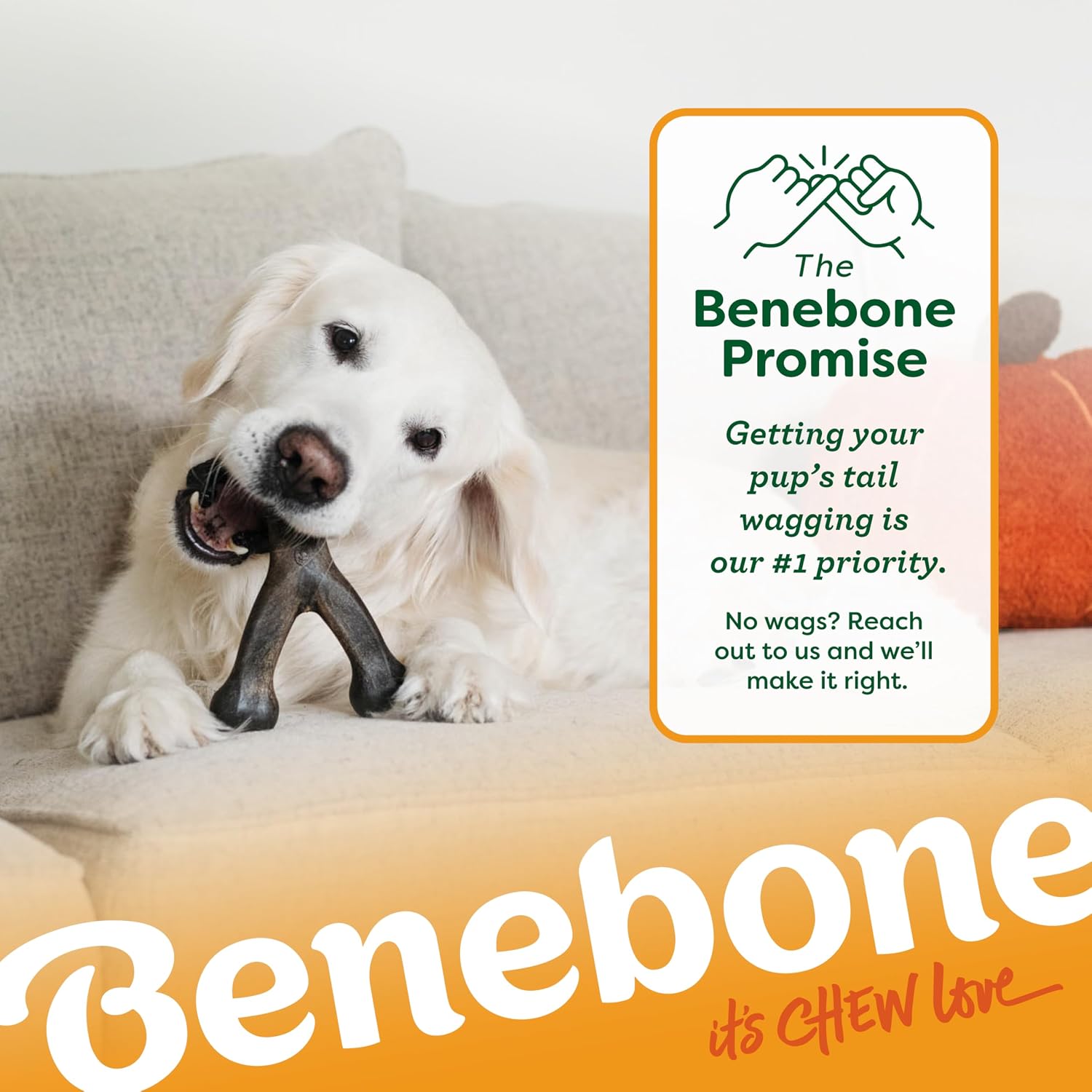 Benebone Pumpkin Spice Wishbone – Limited Edition Flavor, Durable Dog Chew Toy for Aggressive Chewers, Made in USA, Medium