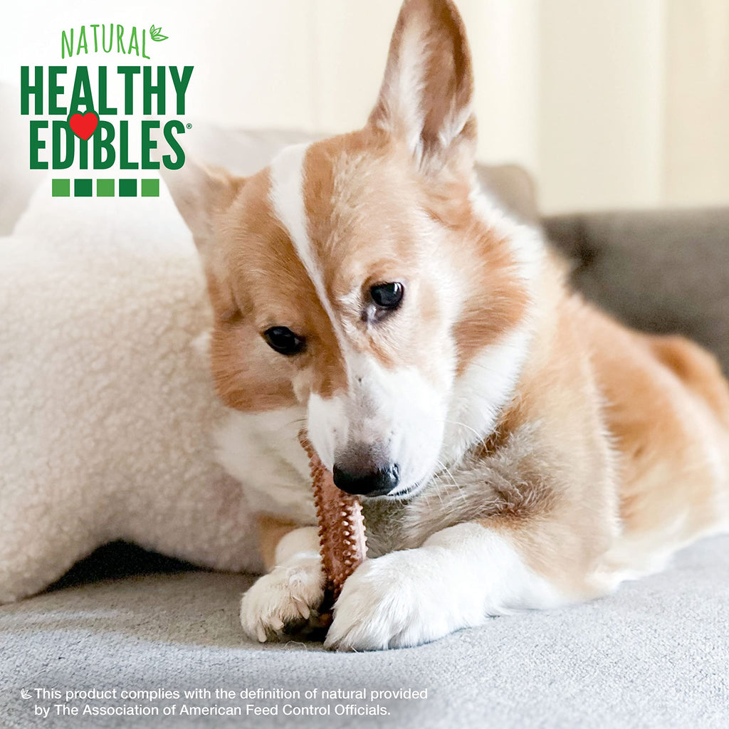 Nylabone Healthy Edibles Natural Dog Chews Long Lasting Chew Treats for Dogs, Roast Beef Flavor, X-Small/Petite (4 Count)
