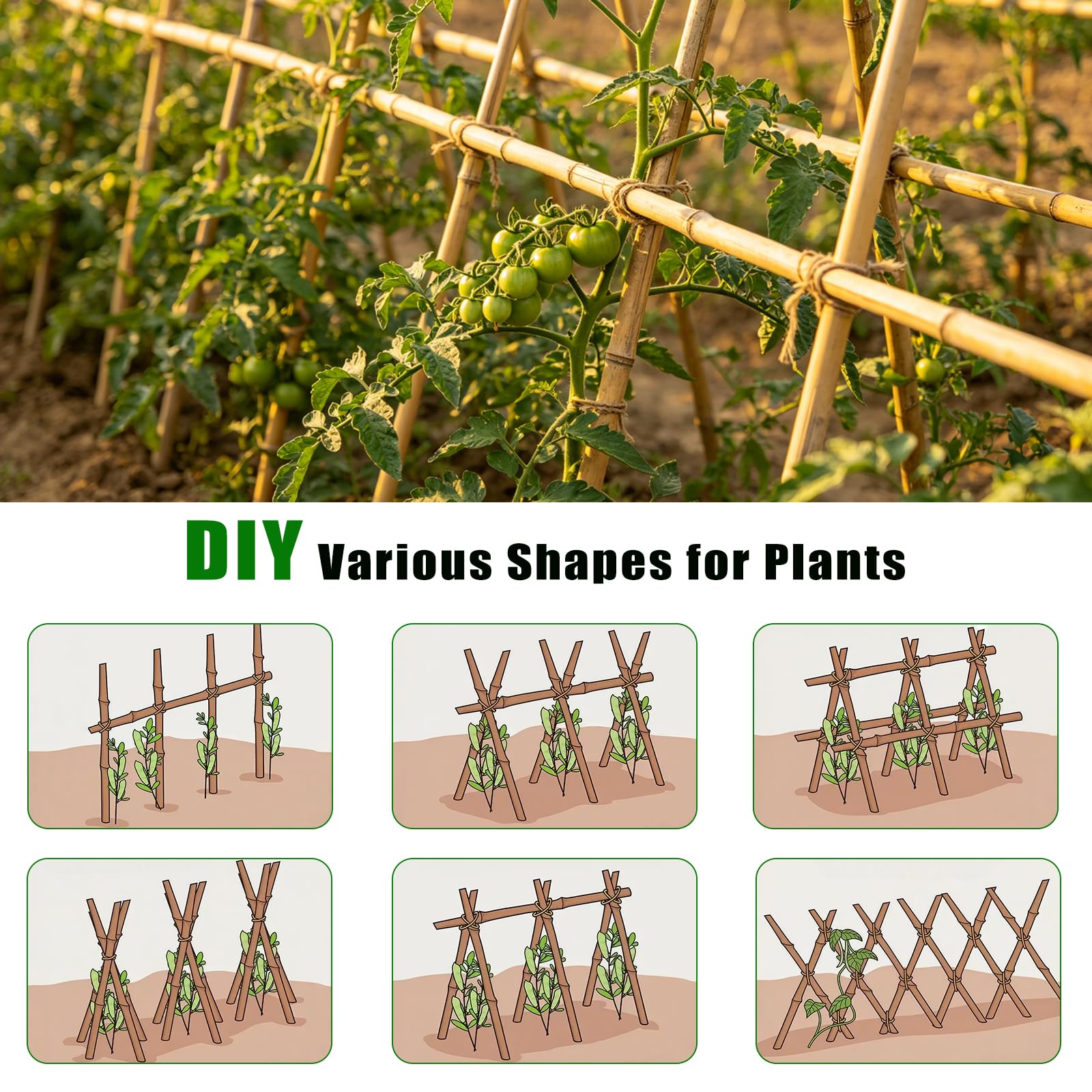 Plant Bamboo Post,3Feet,Bamboo Garden Stakes,50PcsBamboo Stakes,for Tomato,Beans,Vegetable and Flowers, Potted Plants,Indoor and Outdoor Climbing Plants