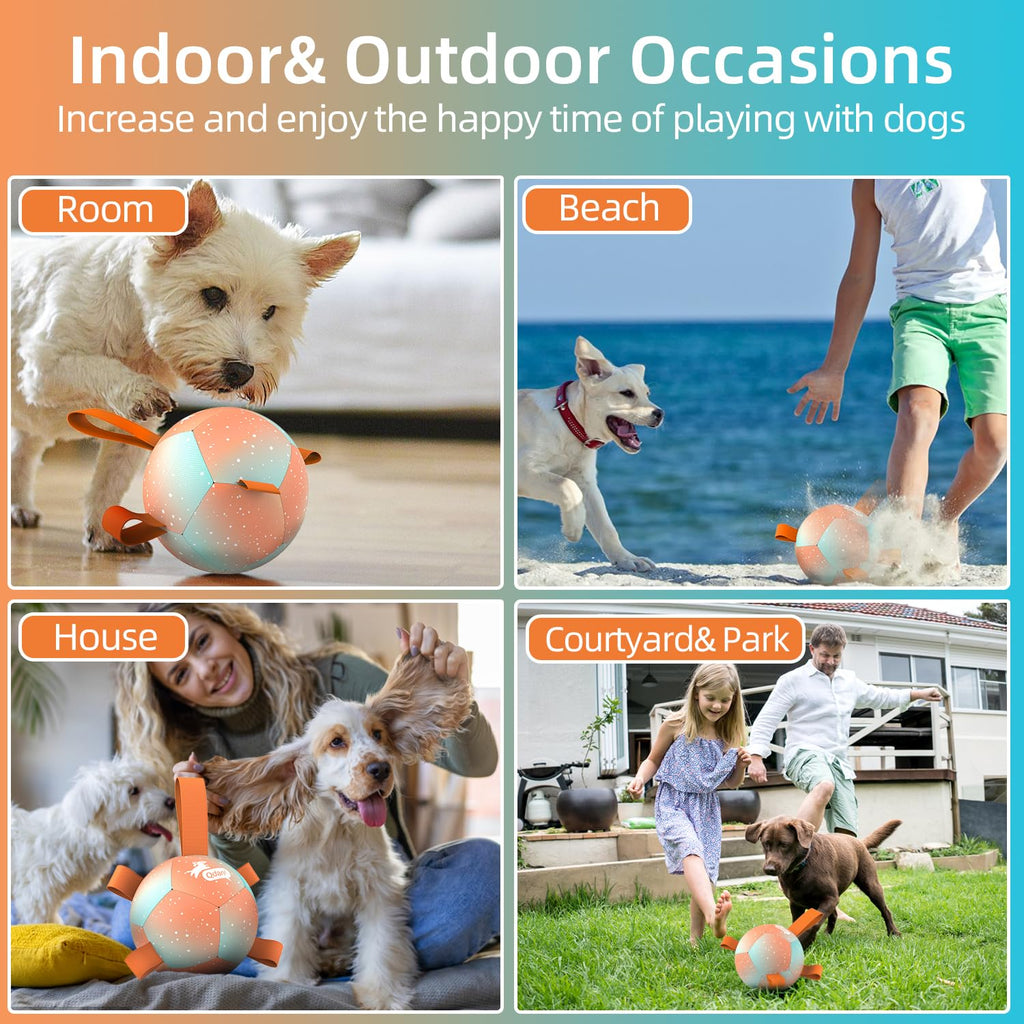 QDAN Dog Toys Soccer Ball with Straps, Durable Dog Balls for Tug of War, Puppy Birthday Gifts, Dogs Water Toy Small Dogs-Rainbow（5 Inch）