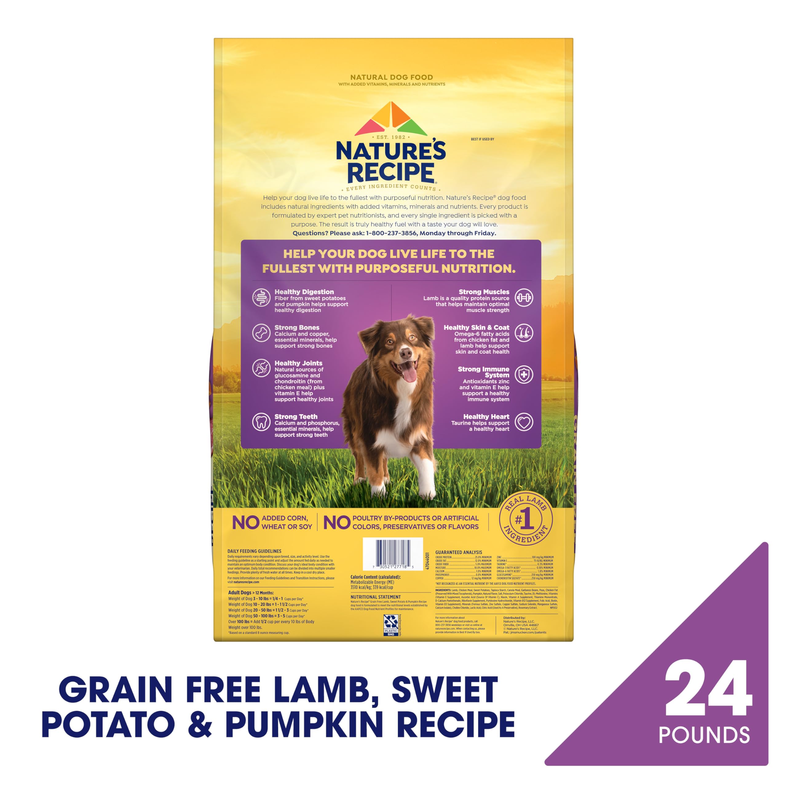 Nature's Recipe Grain Free Dry Dog Food, Lamb, Sweet Potato & Pumpkin Recipe, 4 lb. Bag