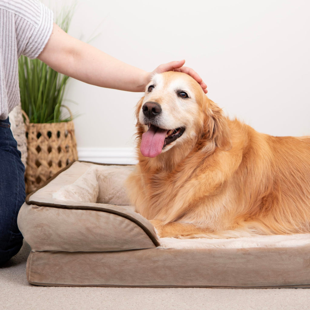 Furhaven Cooling Gel Dog Bed for Medium/Small Dogs w/ Removable Bolsters & Washable Cover, For Dogs Up to 35 lbs - Plush & Velvet Waves Perfect Comfort Sofa - Brownstone, Medium
