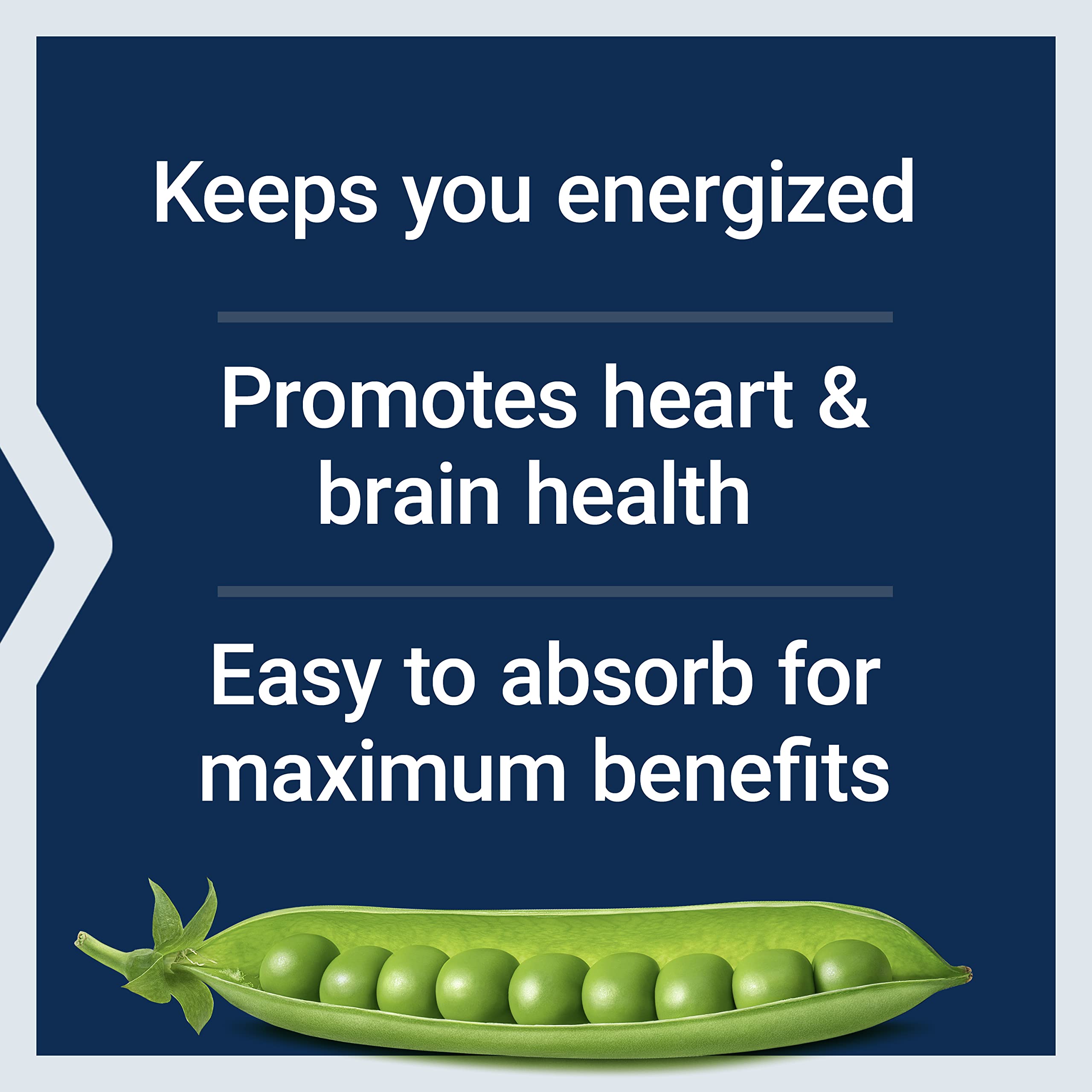 Life Extension BioActive Complete B-Complex, Heart, Brain and Nerve Support, Healthy Energy, Metabolism, Complete B Complex, 60 Vegetarian Capsules