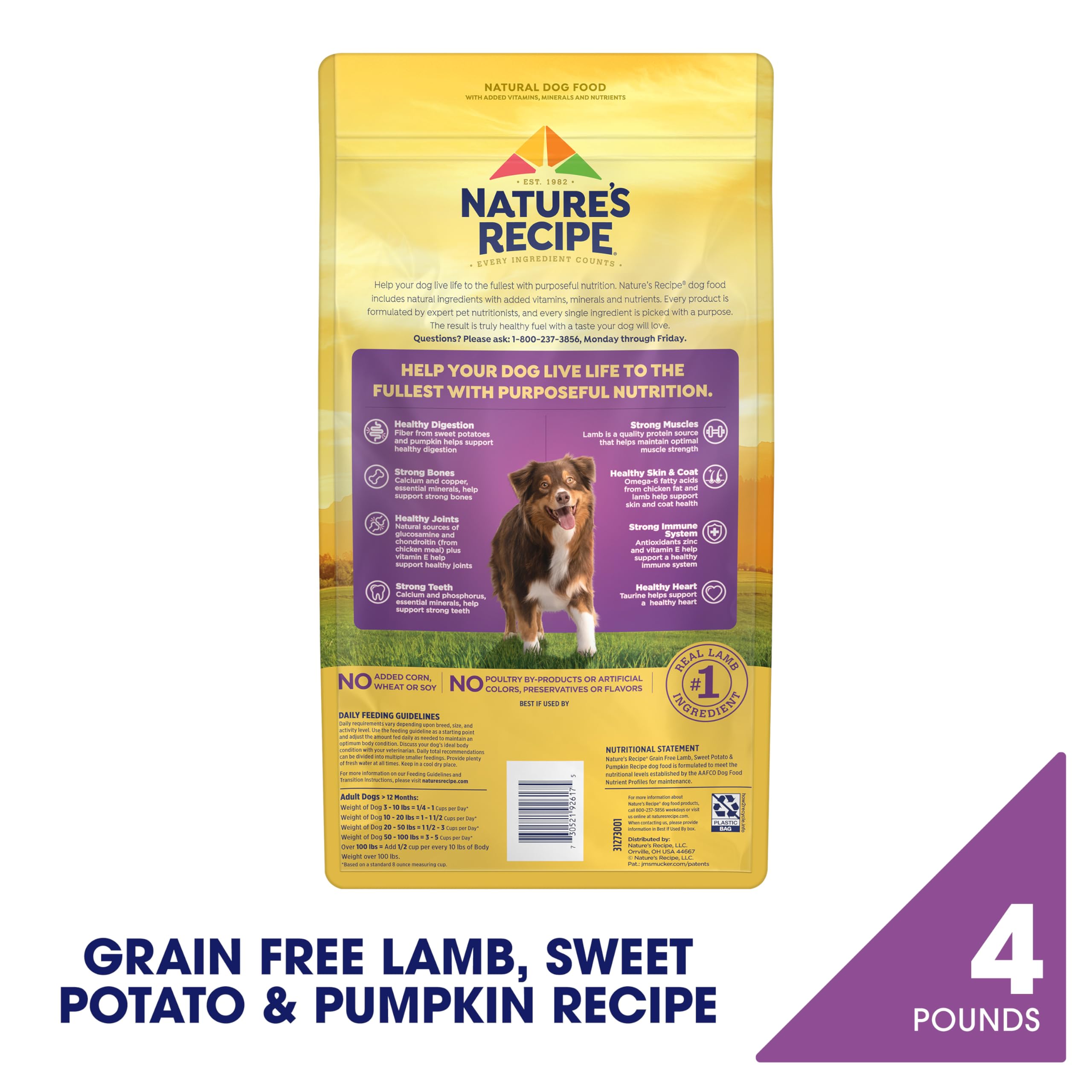 Nature's Recipe Grain Free Dry Dog Food, Lamb, Sweet Potato & Pumpkin Recipe, 4 lb. Bag