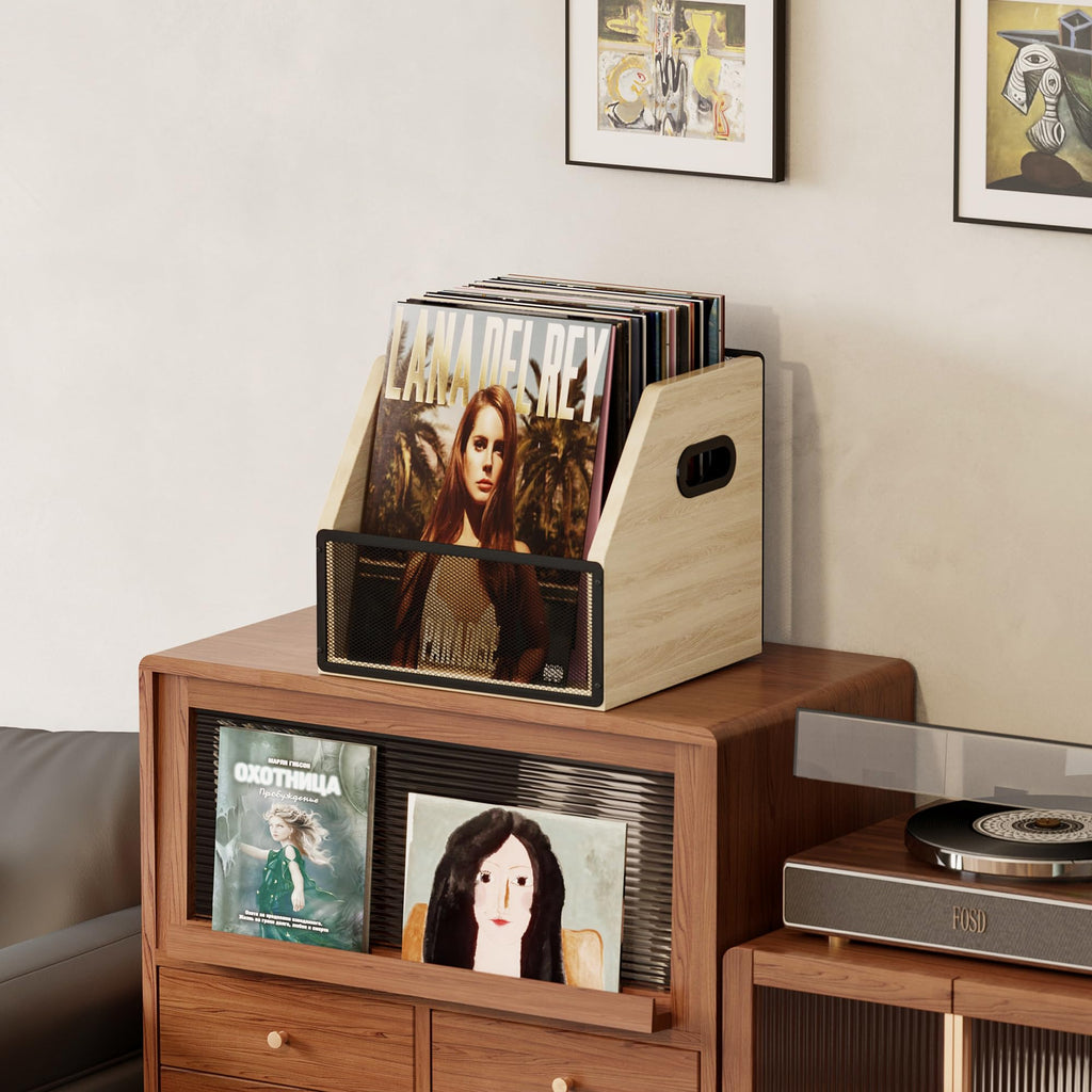 Homeiju Vinyl Record Storage, Record Box Case Crate, Vinyl Record Album Holder, Desktop Metal & Wooden LP Record Crate, Holds up to 60 Records（Patent No.D1024563