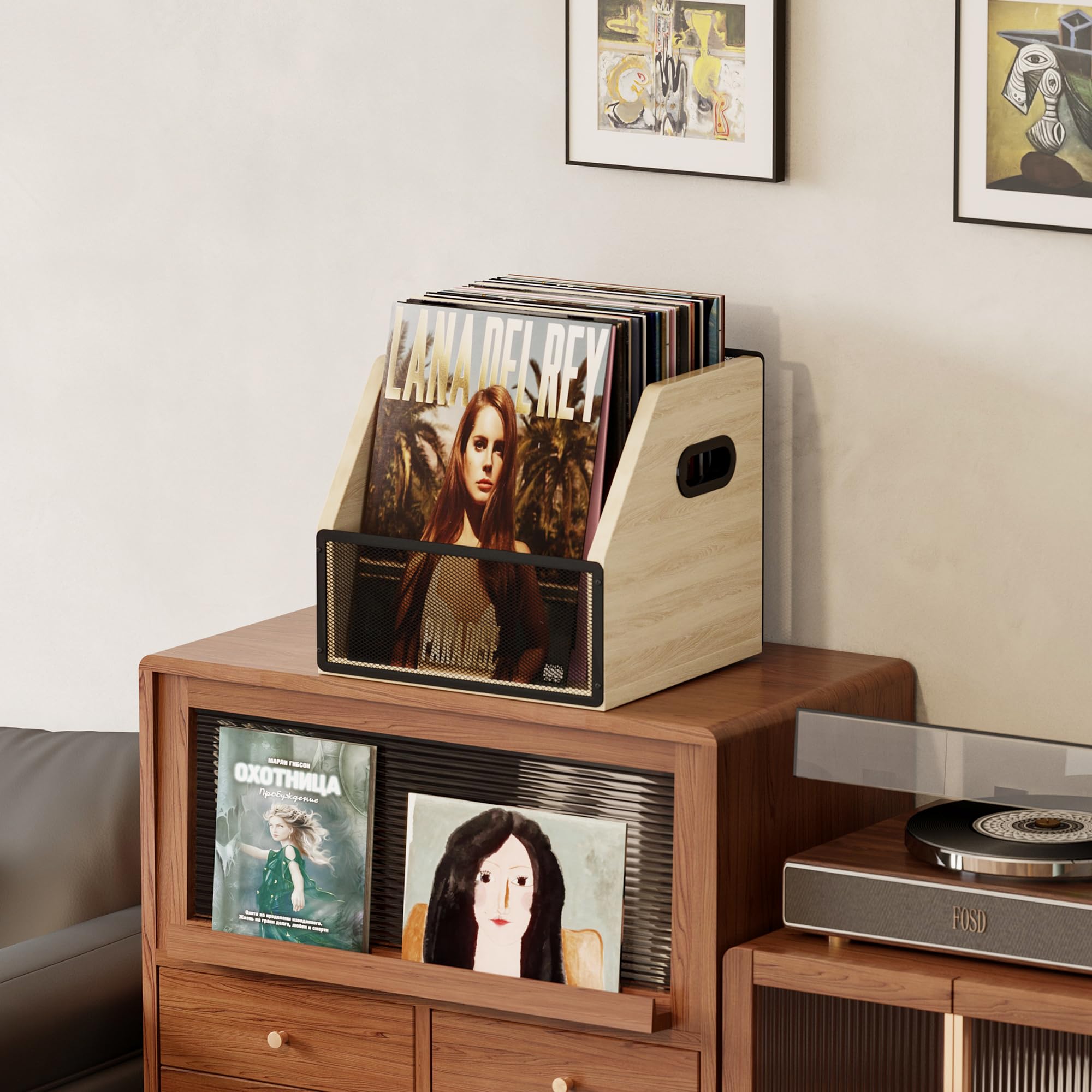 Homeiju Vinyl Record Storage, Record Box Case Crate, Vinyl Record Album Holder, Desktop Metal & Wooden LP Record Crate, Holds up to 60 Records（Patent No.D1024563