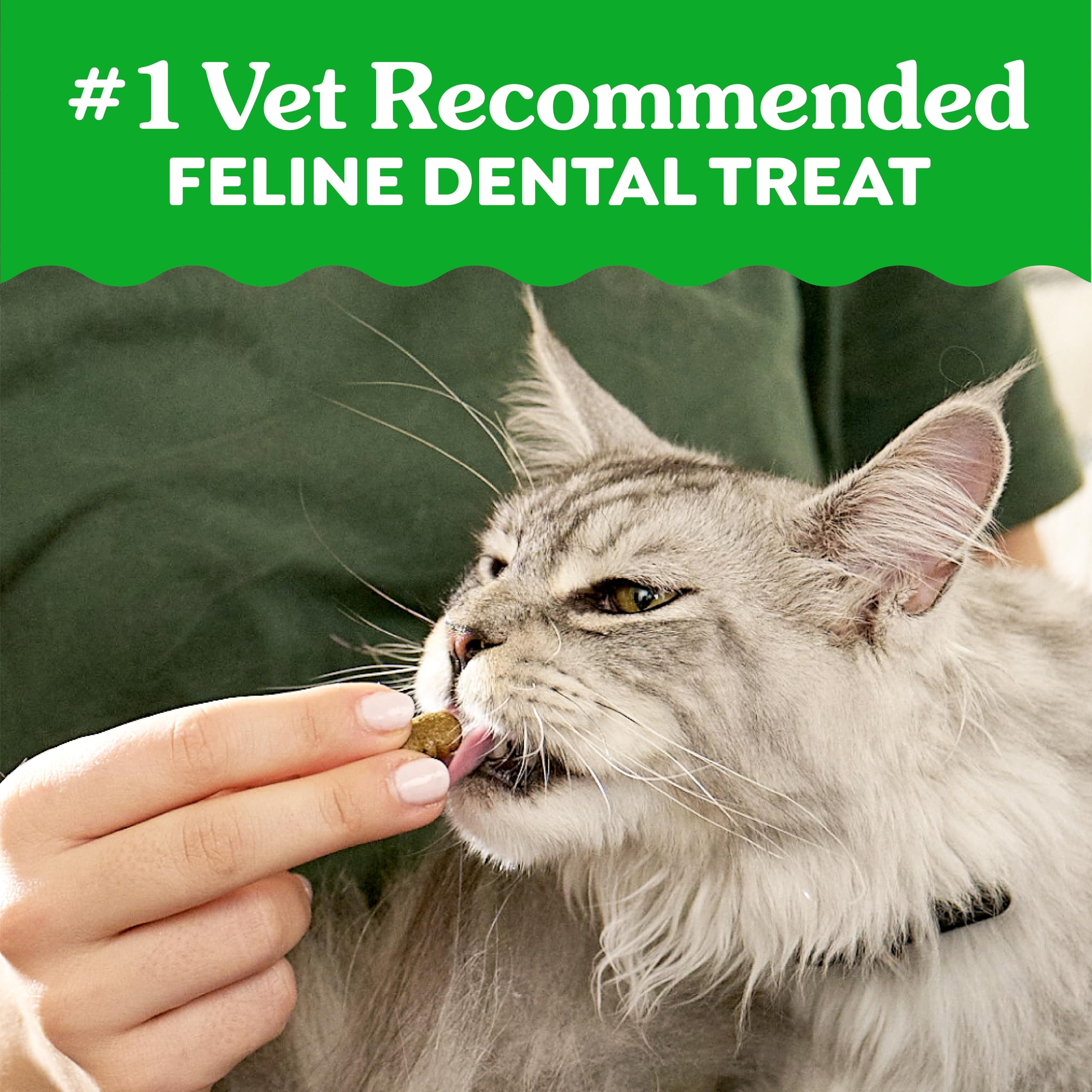 Greenies Cat Treats, Feline Veterinarian-Recommended Adult Natural Dental Treats, Catnip Flavor, 2.1 oz. Pouch