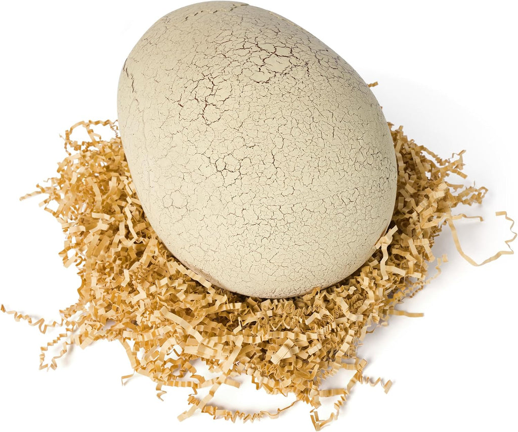 Primal Hatch Jurassic World Interactive Toy Dinosaur & Egg, Hatch & Train Your own Baby Dino with 100+ Sounds & Reactions, Kids Toys for Boys & Girls Aged 5 & Up