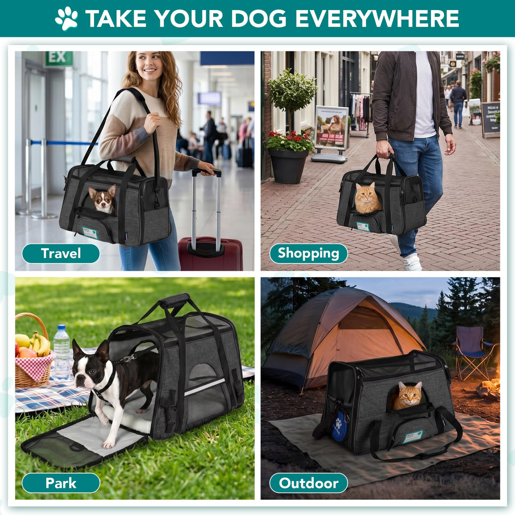 PetAmi Airline Approved Pet Carrier for Cats & Small Dogs, Soft Sided TSA Travel Carrier Bag with Sherpa Bed, Breathable Mesh Ventilation, Collapsible Bowl, Fits Under Seat, Up to 18 lbs, Small Black