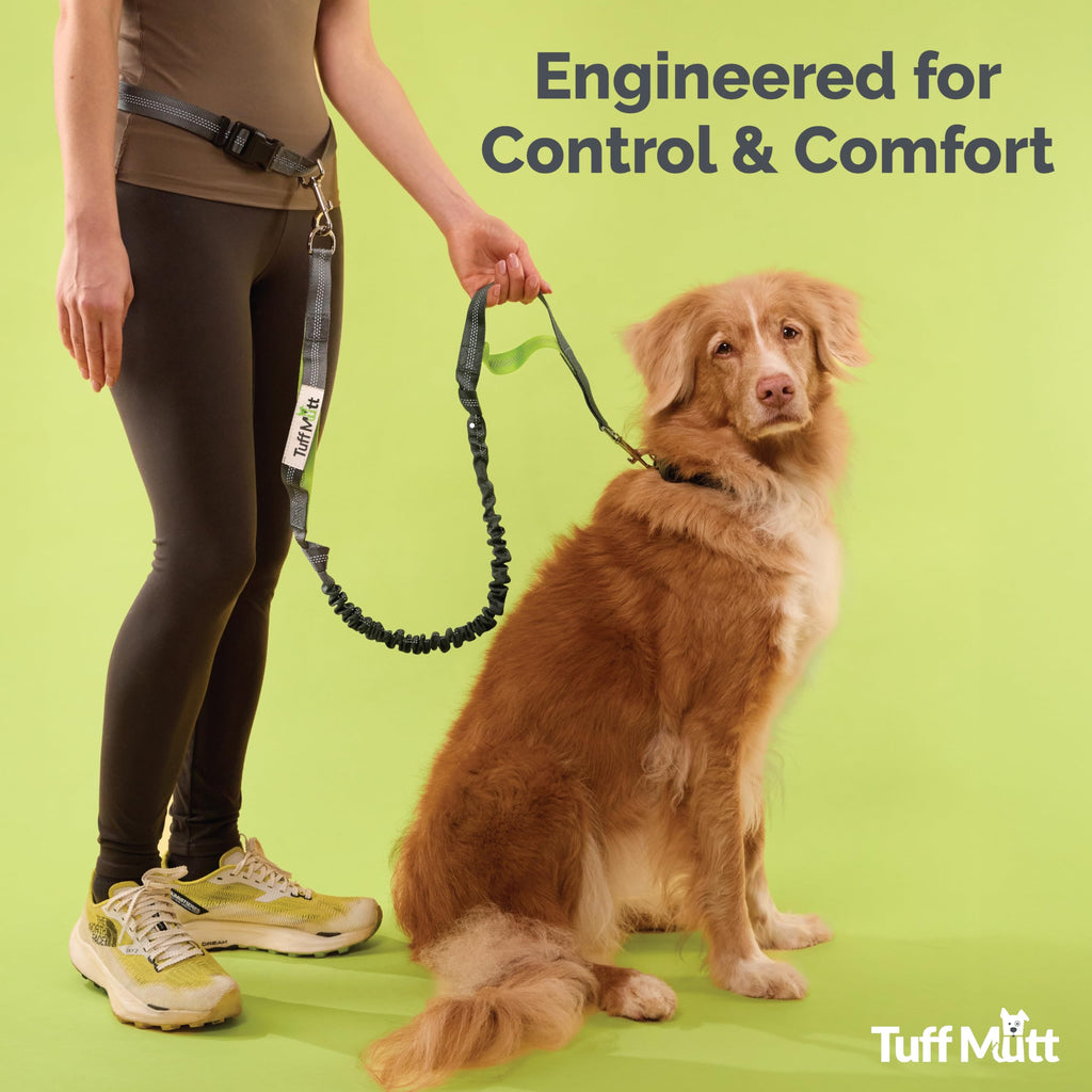 Tuff Mutt Hands-Free Waist Leash for Dog Walking, Running and Hiking, Carabiner Clip, Adjustable Belt with Double Handle, Reflective Bungee Design for Large & Medium Dogs