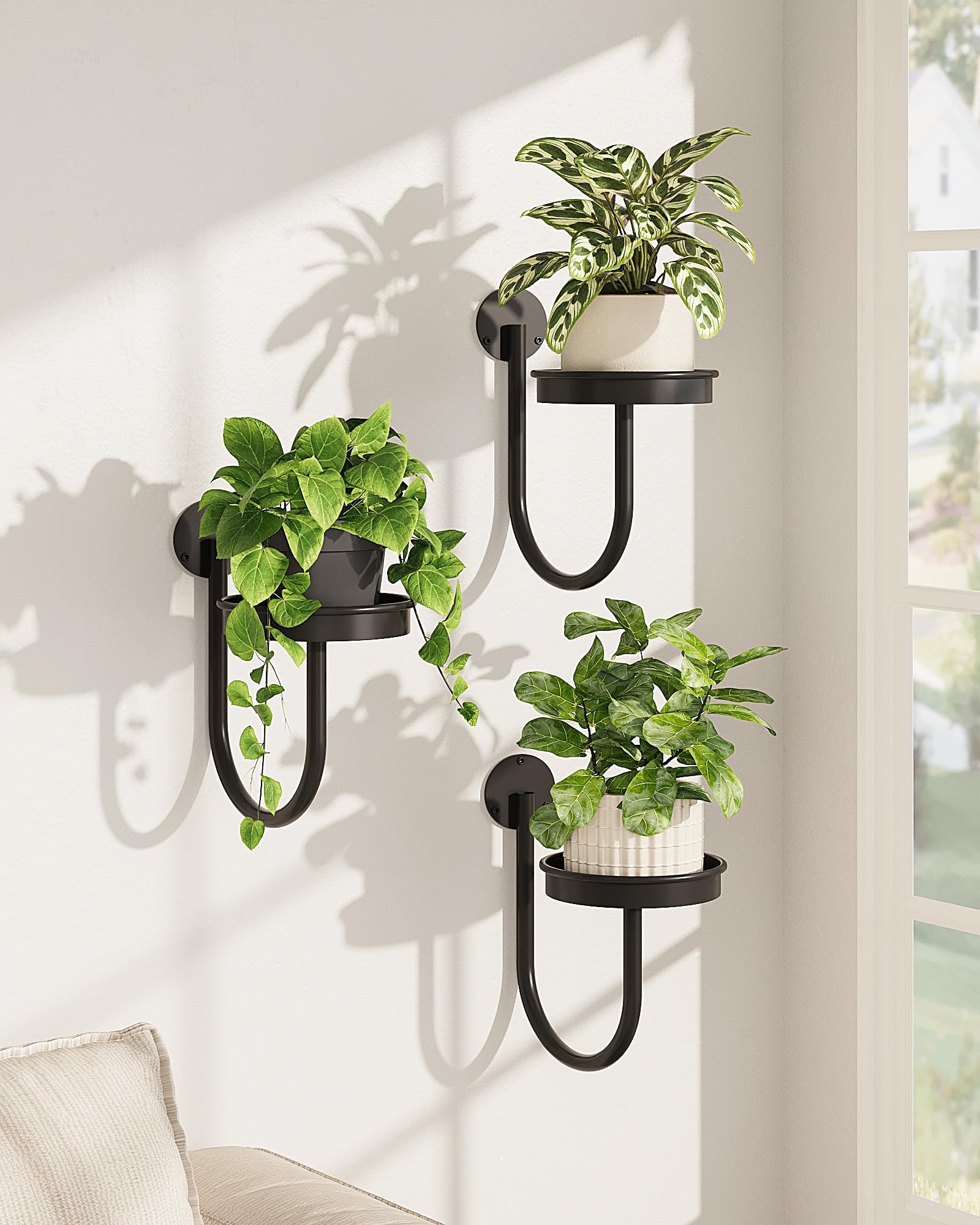 Bamworld Hanging Planters for Indoor Plants Wall Plant Holder Plant Hanger Indoor Wall Planters Window Plant Shelves Hanging Plant Holder Window Plant Hanger Plant Decor Black 3pcs