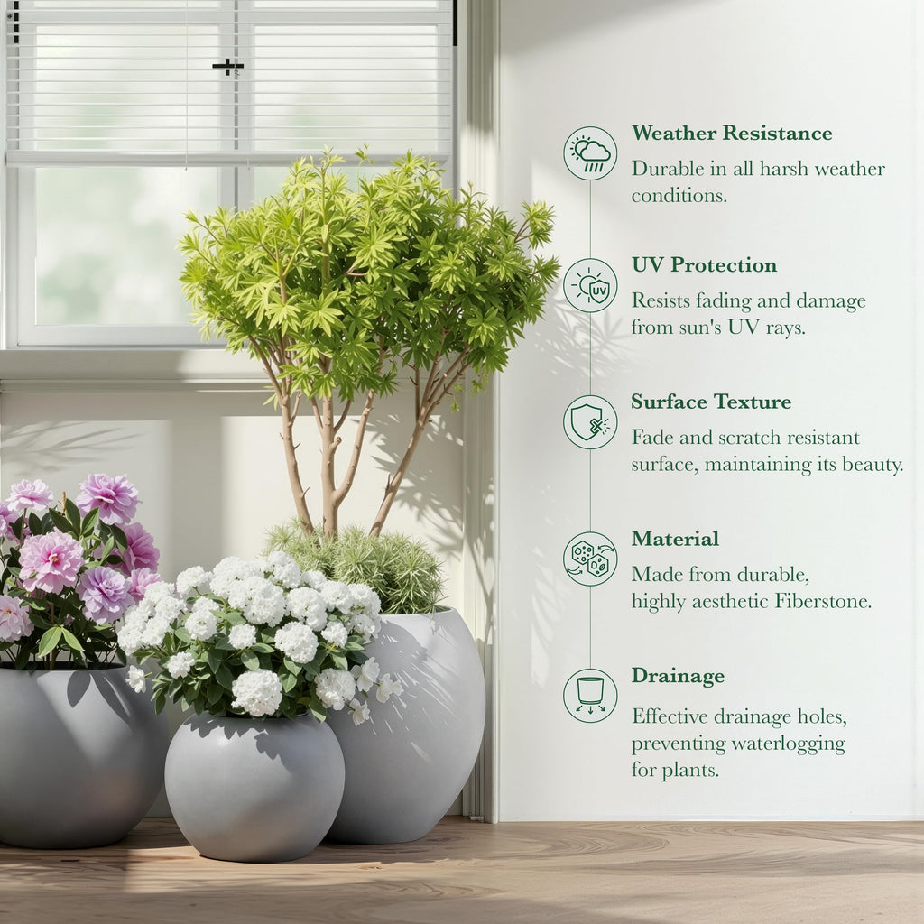 DTY Fiberstone Globe Planter Indoor Outdoor — Lightweight Sphere Ball Pot for Olive Tree, Monstera & Palm | Fiberglass Stone | UV Resistant, Drainage Hole | 2 Coco Mats | Black | 12.6" D × 10" H