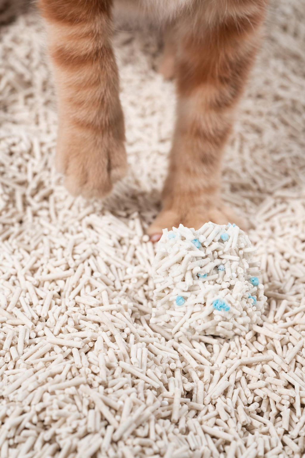 pidan Tofu Cat Litter Clumping,Flushable,Ultra Absorbent and Fast Drying, 100% Natural Ingredients Litter,Solubility in Water,Really Dust-Free,Less Scattering (5.3lb×1bag)