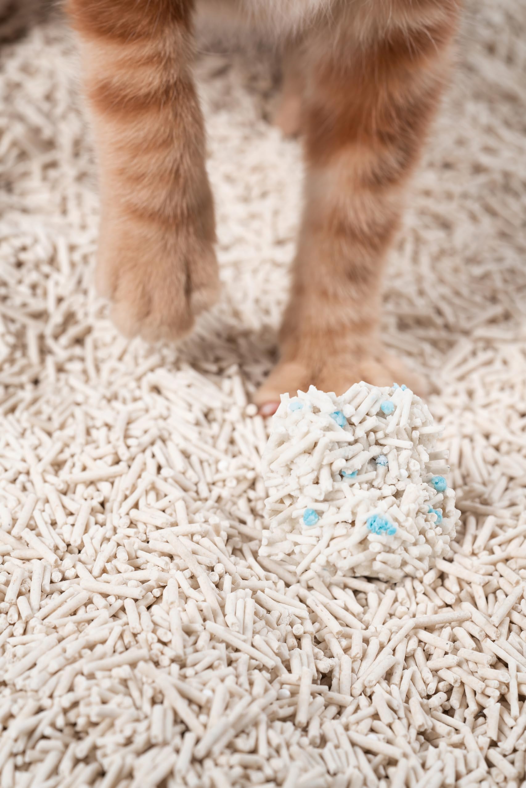 pidan Tofu Cat Litter Clumping,Flushable,Ultra Absorbent and Fast Drying, 100% Natural Ingredients Litter,Solubility in Water,Really Dust-Free,Less Scattering (5.3lb×1bag)