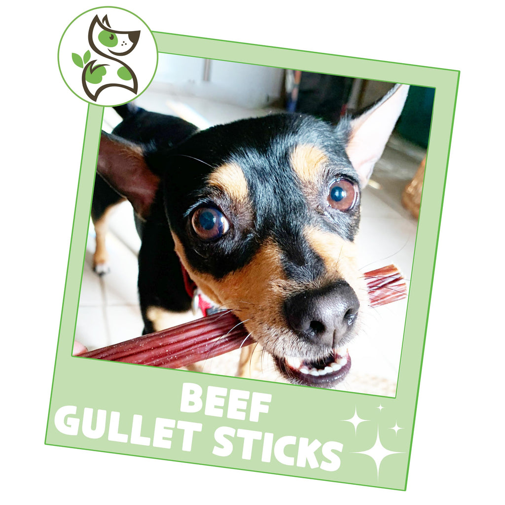 Nature Gnaws Beef Gullet Chews for Small Dogs 4-5" (20 Count) - Natural Beef Jerky Stick Dog Chew Treats - Rawhide Free