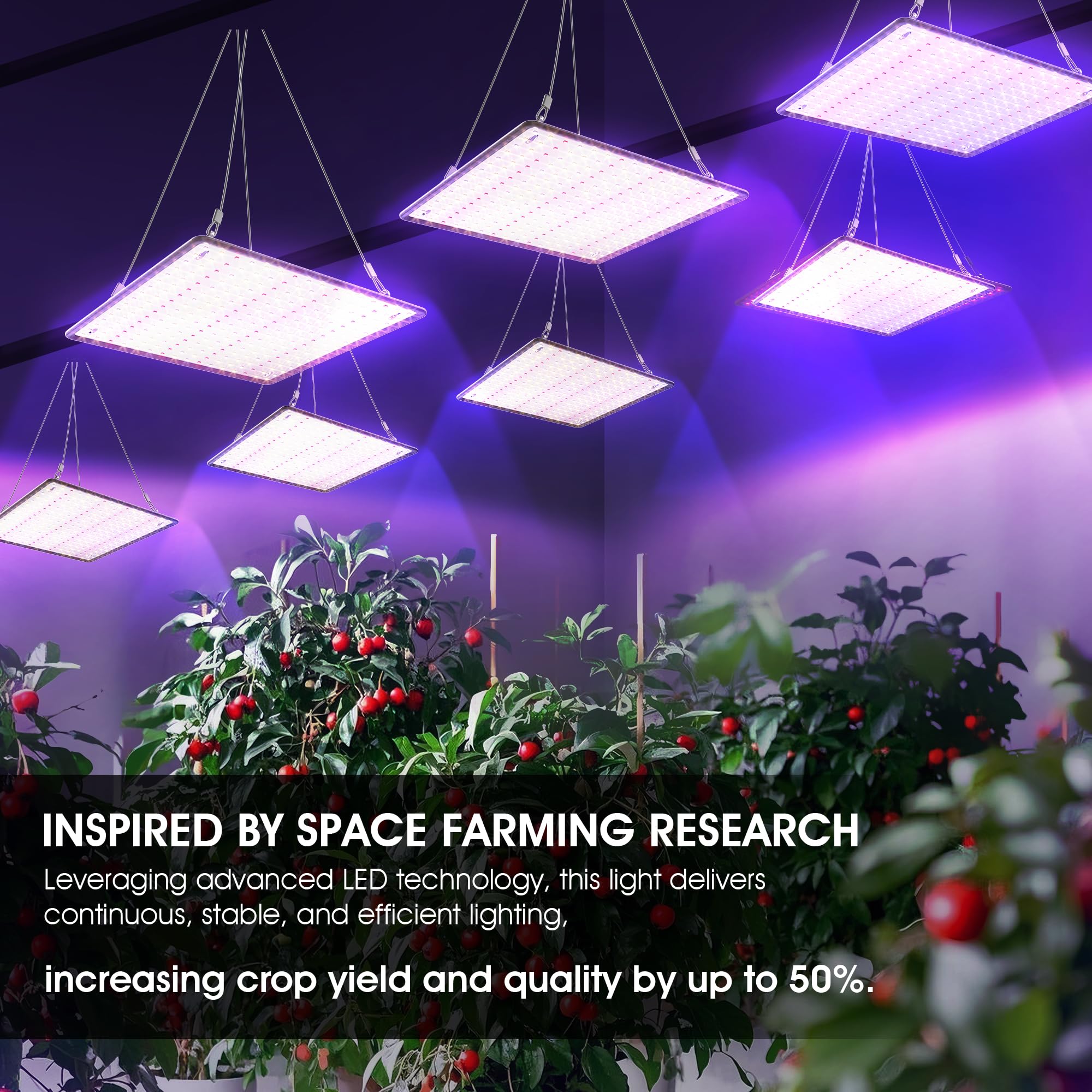 2 Pack LED Grow Light Panel 200W Lamp for Indoor Plants, Full Spectrum with White Blue Red UV IR LEDs for 4x4ft Coverage Grow Tent Greenhouse Veg and Bloom Seedlings Hydroponics