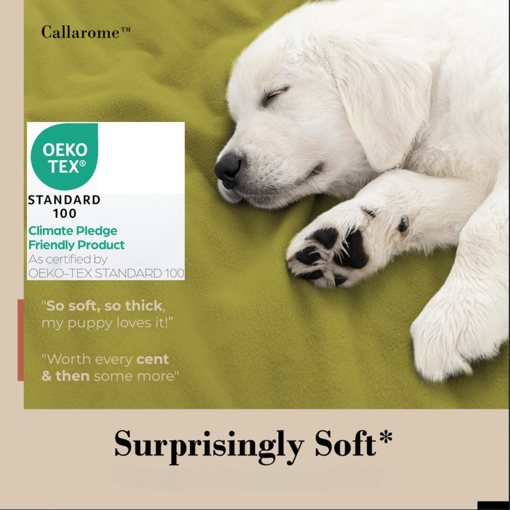 Waterproof Blanket for Bed & Couch Protection, Reddish/Green, 80"x90" | High-Density Heavy-Duty Material – Ultra-Soft & Durable Soft Fleece, Leakproof, Reversible, Silent No-Crinkle Design