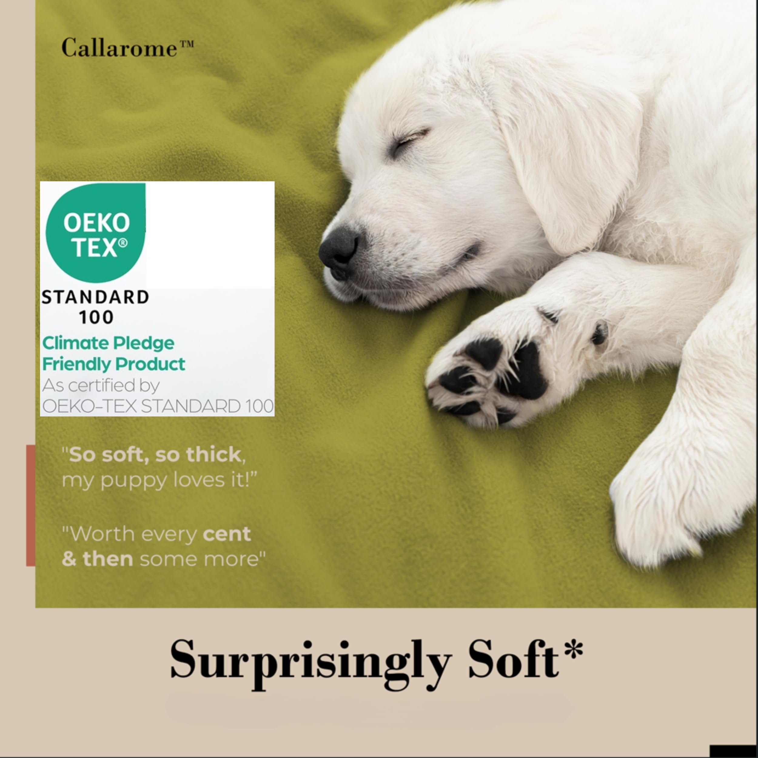 Waterproof Blanket for Bed & Couch Protection, Reddish/Green, 80"x90" | High-Density Heavy-Duty Material – Ultra-Soft & Durable Soft Fleece, Leakproof, Reversible, Silent No-Crinkle Design