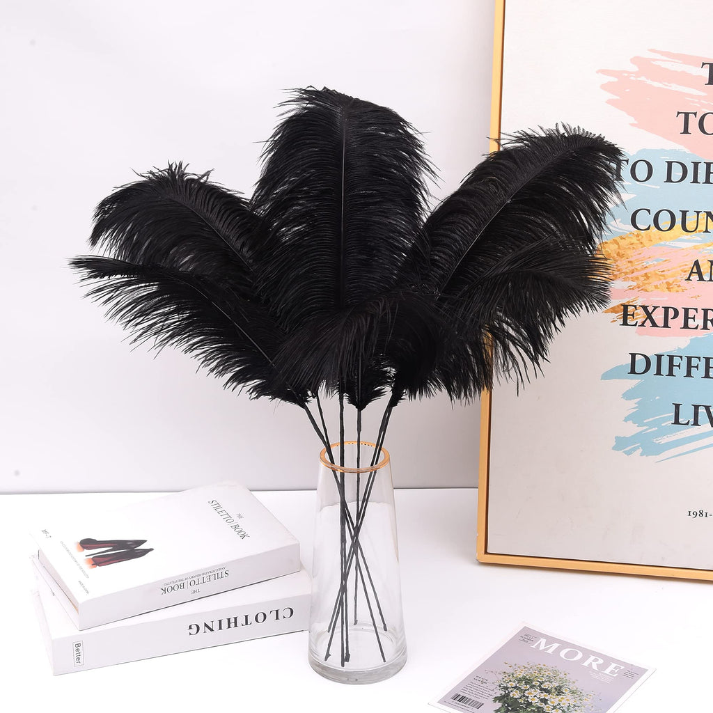 Ballinger Black Ostrich Feathers Bulk - Making Kit 12Pcs 16-18inch Large Ostrich Feathers for Floral Arrangement, Vase, Wedding Party Centerpieces and Halloween Home Decor
