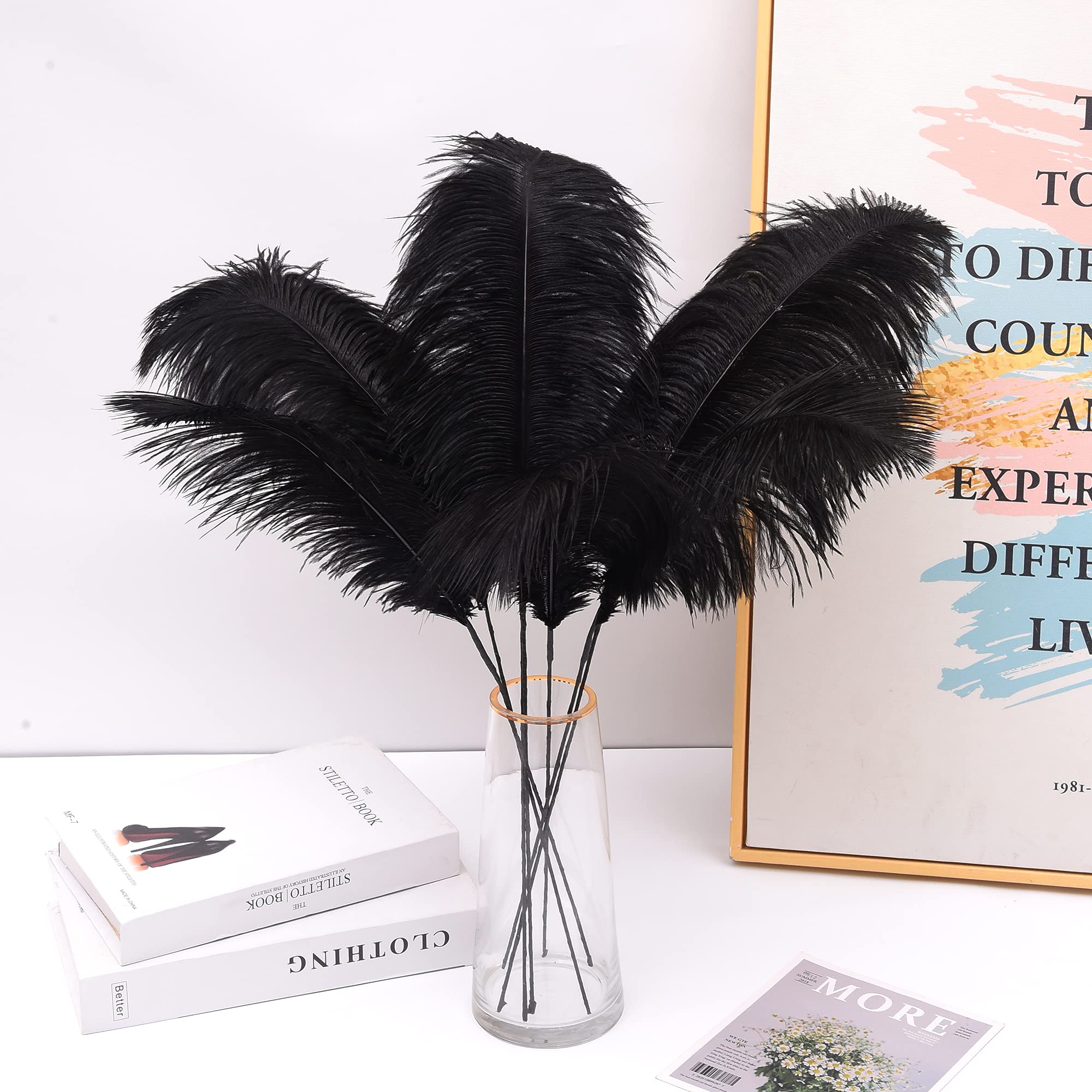 Ballinger Black Ostrich Feathers Bulk - Making Kit 12Pcs 16-18inch Large Ostrich Feathers for Floral Arrangement, Vase, Wedding Party Centerpieces and Halloween Home Decor