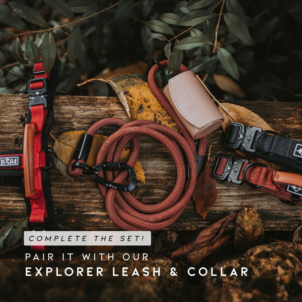 MADE TO ROAM Premium Explorer Harness - Y-Shaped Dog Harness with Adjustable Durable Nylon, Soft Padding, Metal Buckles and Leather Handle for Small, Medium, Large Dogs (Alaska Daybreak, Size 1)