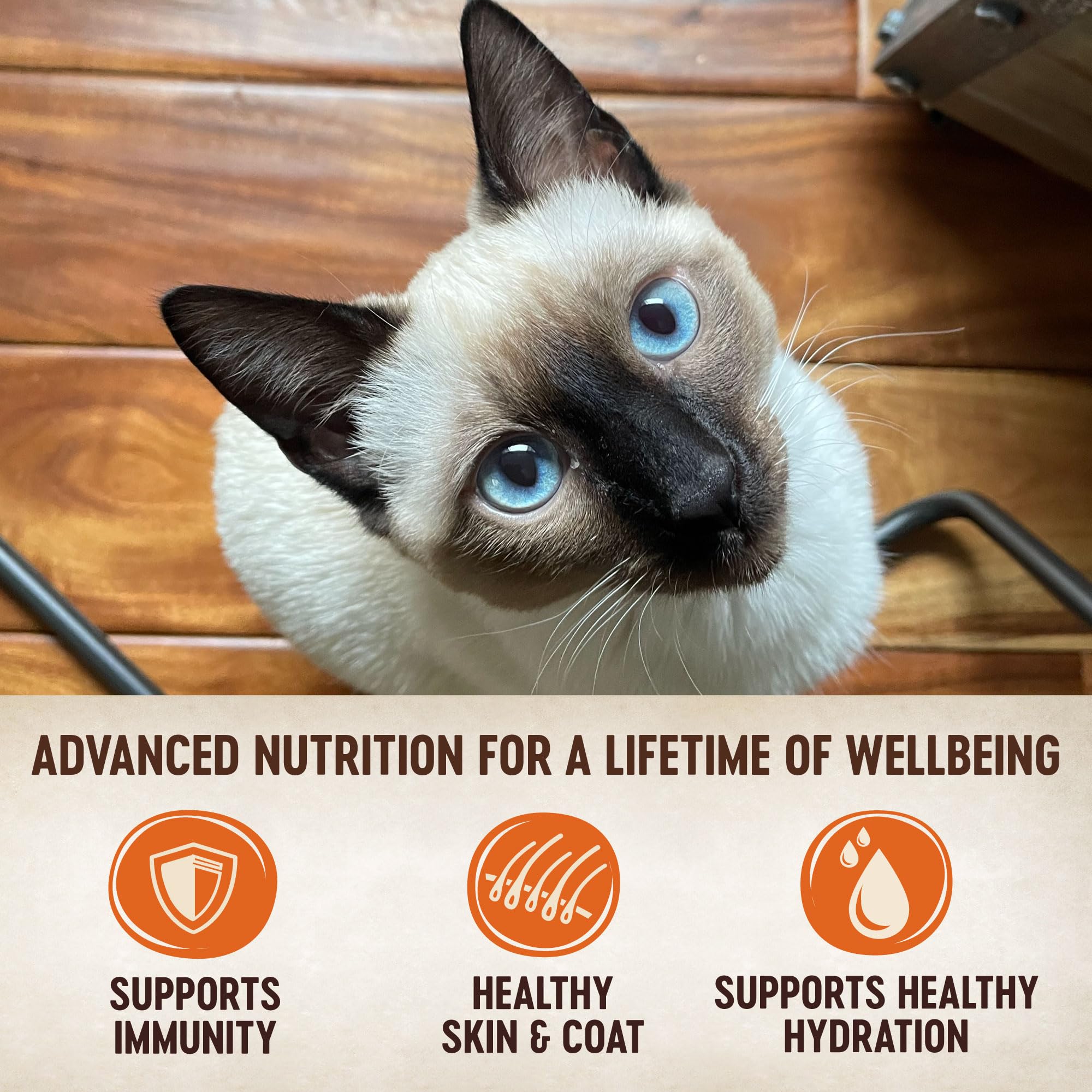 Wellness CORE Tiny Tasters Pate Adult Wet Cat Food, Natural, Protein Rich, Grain Free, Chicken Recipe, 1.75 oz, Pack of 12 Pouches