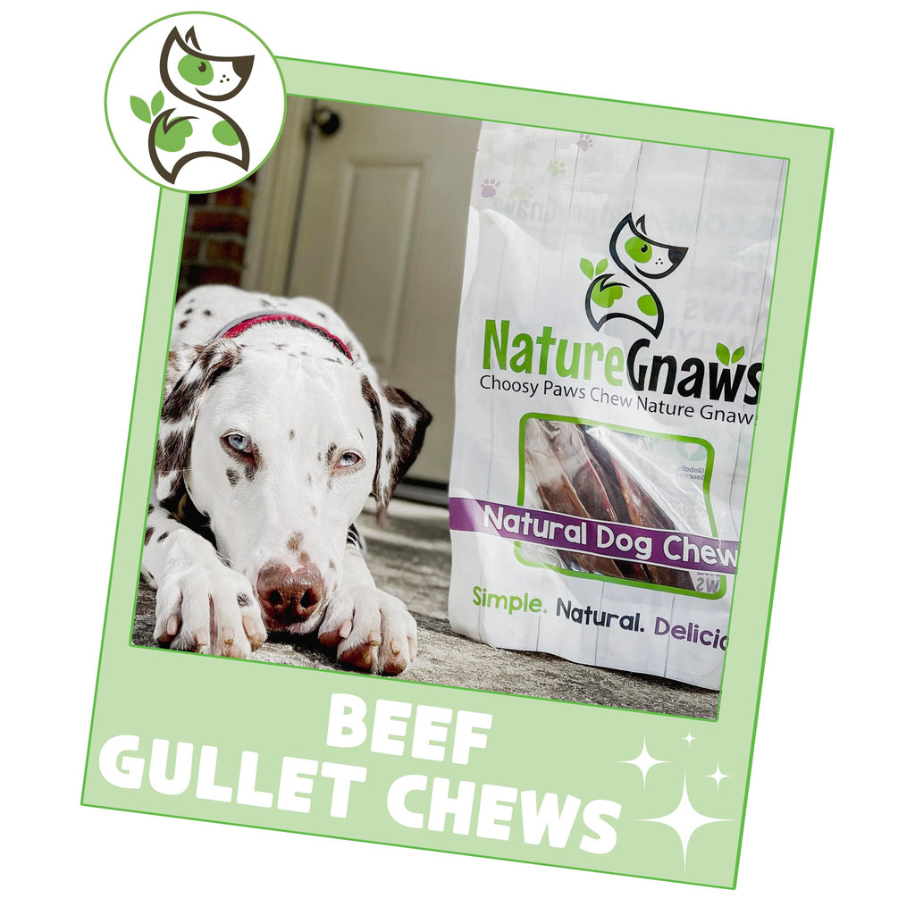 Nature Gnaws Beef Gullet Chews for Small Dogs 4-5" (20 Count) - Natural Beef Jerky Stick Dog Chew Treats - Rawhide Free