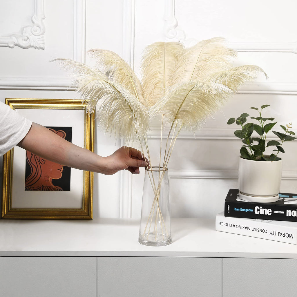 Ballinger Black Ostrich Feathers Bulk - Making Kit 12Pcs 16-18inch Large Ostrich Feathers for Floral Arrangement, Vase, Wedding Party Centerpieces and Halloween Home Decor