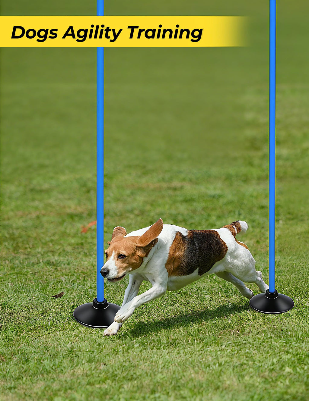 SEAOTTER Soccer Agility Poles Set, 4/6/10 Pcs 6ft Detachable Sports Trainning Speed Poles Slalom Poles with Rubber Base, Agility Training Equipment for Football, Rugby, Basketball, Indoor & Outdoor
