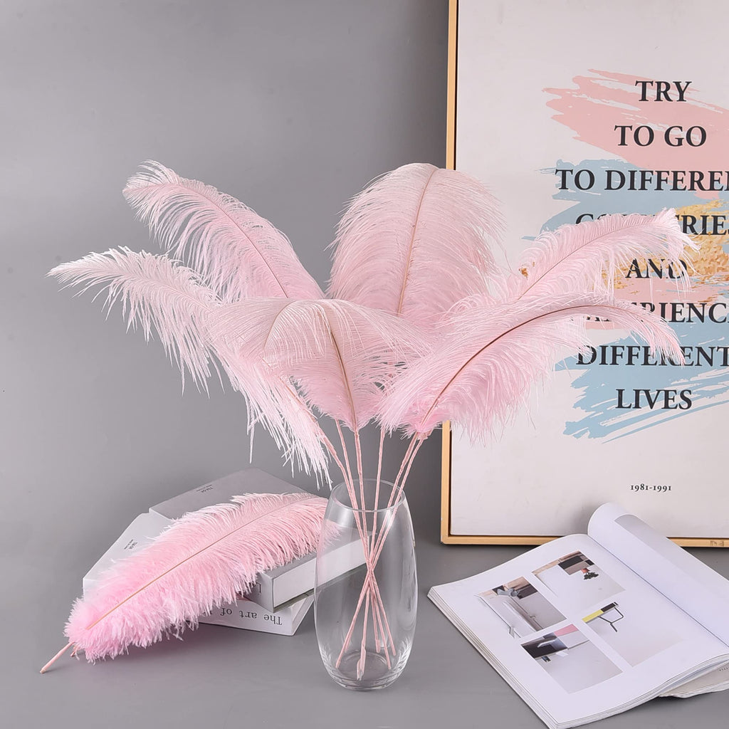 Ballinger Black Ostrich Feathers Bulk - Making Kit 12Pcs 16-18inch Large Ostrich Feathers for Floral Arrangement, Vase, Wedding Party Centerpieces and Halloween Home Decor
