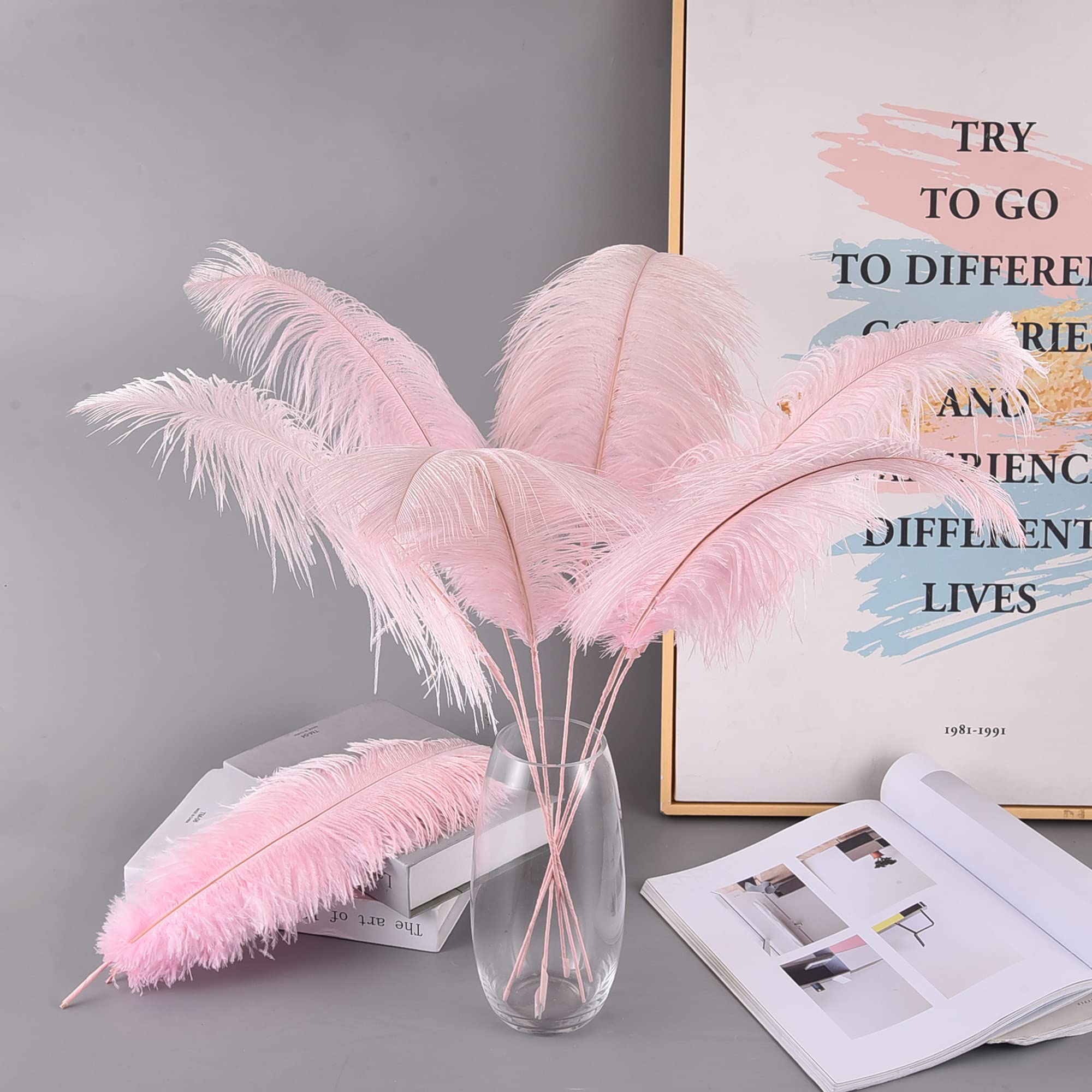 Ballinger Black Ostrich Feathers Bulk - Making Kit 12Pcs 16-18inch Large Ostrich Feathers for Floral Arrangement, Vase, Wedding Party Centerpieces and Halloween Home Decor