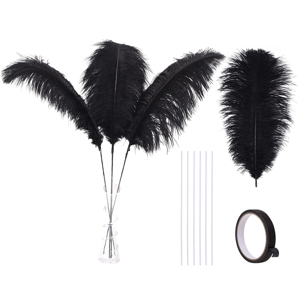 Ballinger Black Ostrich Feathers Bulk - Making Kit 12Pcs 16-18inch Large Ostrich Feathers for Floral Arrangement, Vase, Wedding Party Centerpieces and Halloween Home Decor