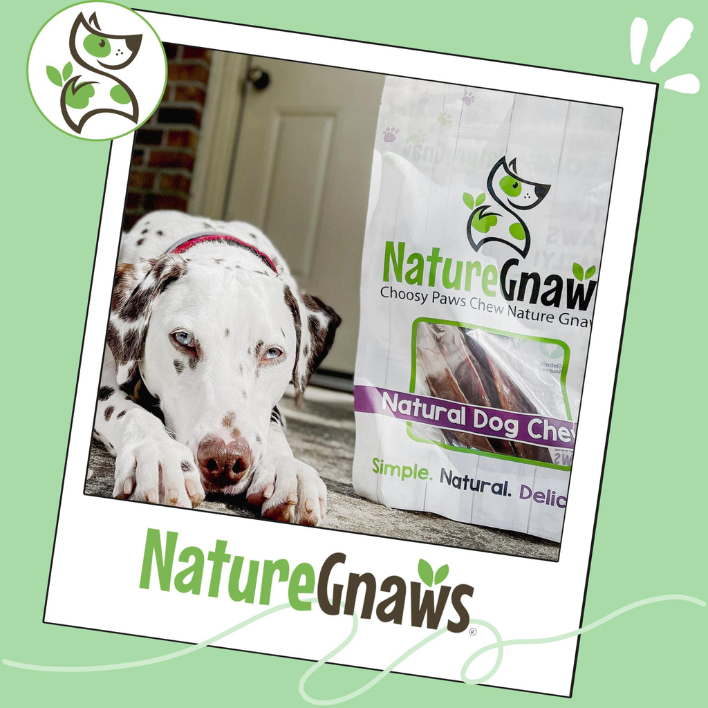 Nature Gnaws Beef Gullet Chews for Small Dogs 4-5" (20 Count) - Natural Beef Jerky Stick Dog Chew Treats - Rawhide Free