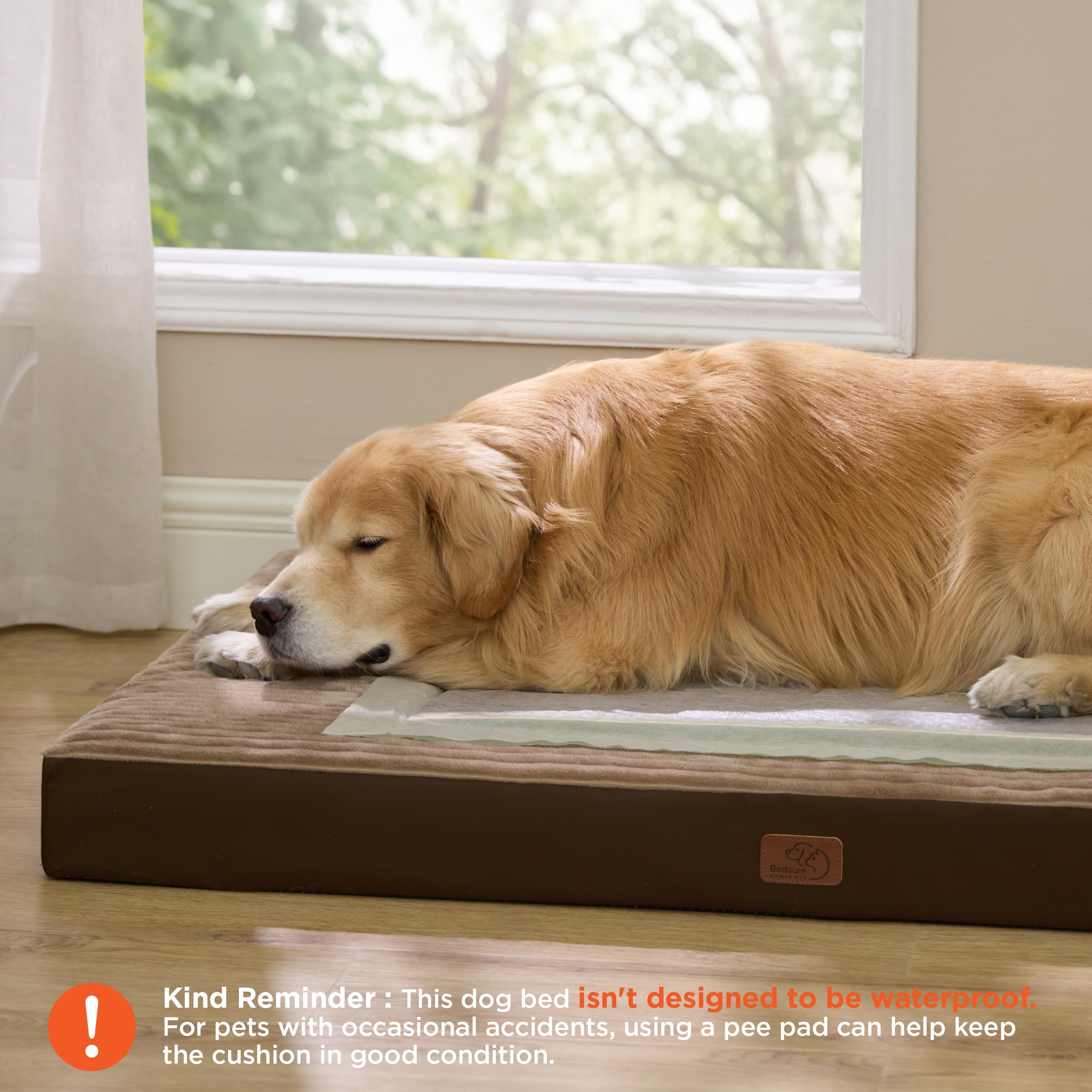 Bedsure ComfyFleece Dog Bed for Small Dogs - Orthopedic Pet Beds with Removable Washable Cover, NOT Waterproof Egg Crate Foam Puppy Mat, Suitable for Pet Up to 20 lbs, 23"x17"x2.8", NOT for Chewers