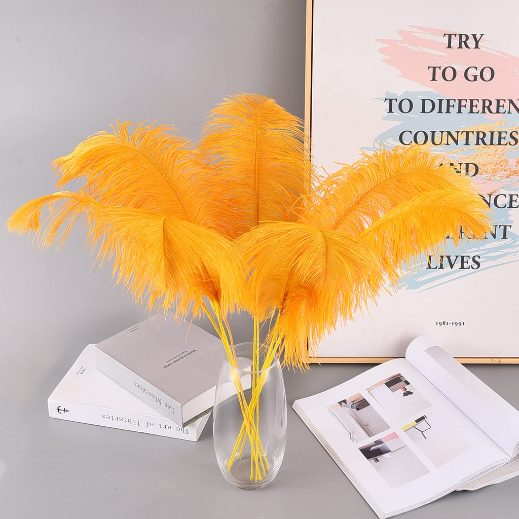 Ballinger Black Ostrich Feathers Bulk - Making Kit 12Pcs 16-18inch Large Ostrich Feathers for Floral Arrangement, Vase, Wedding Party Centerpieces and Halloween Home Decor