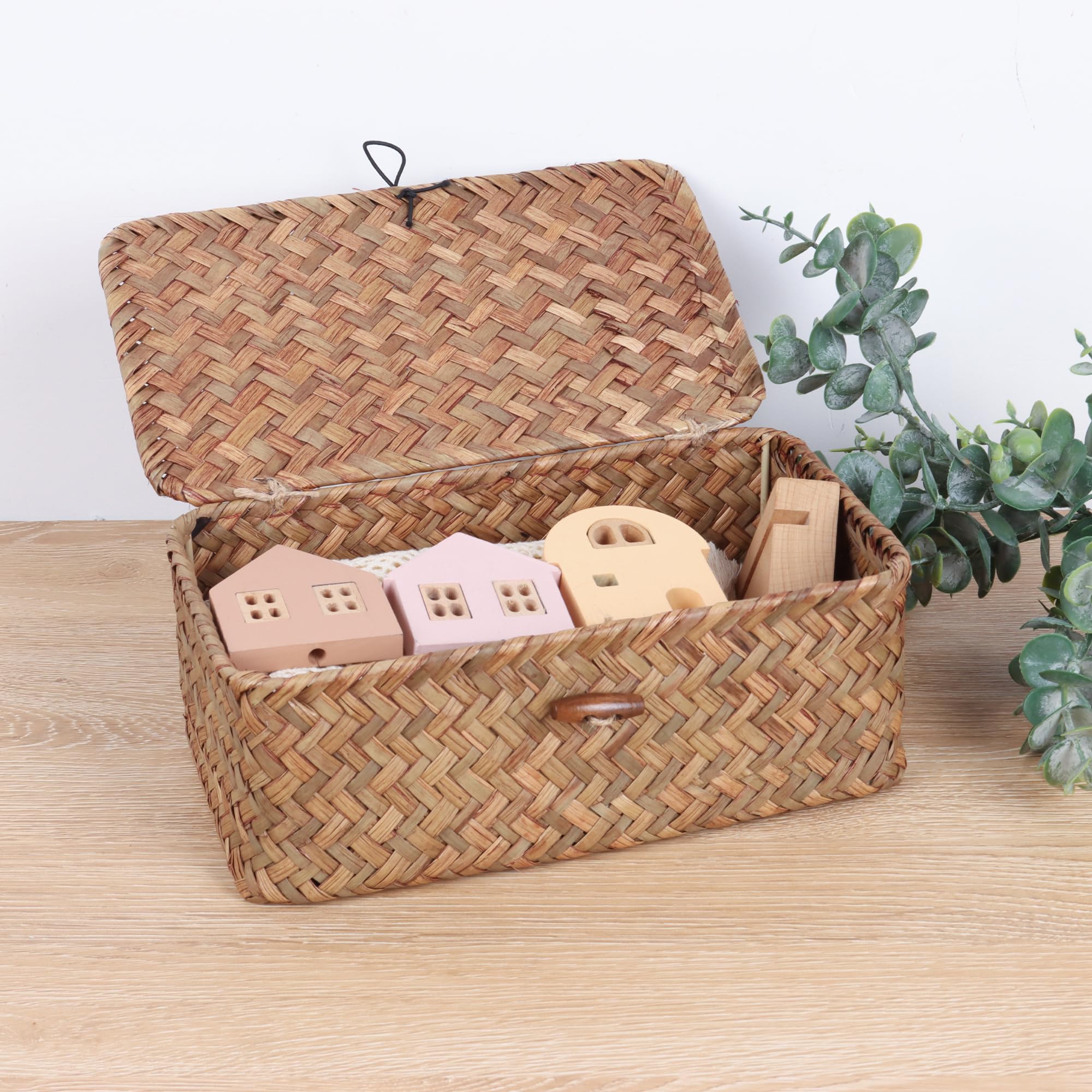 FEIALNDUO Wicker Shelf Baskets with Lid,Seagrass Storage Basket Bins Rectangular Handwoven Basket Boxes for Shelves Desktop Home Organizer (Coffee, X-Small)
