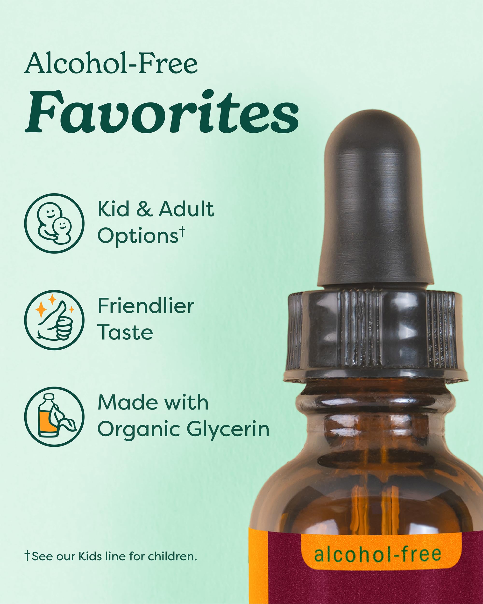 Herb Pharm Echinacea Alcohol-Free Extract: Immune System Support for All Seasons | Fast-Absorbing Echinacea Root Organic Supplement | Non-GMO, Vegan & Gluten-Free | Glycerite Liquid | 1 oz