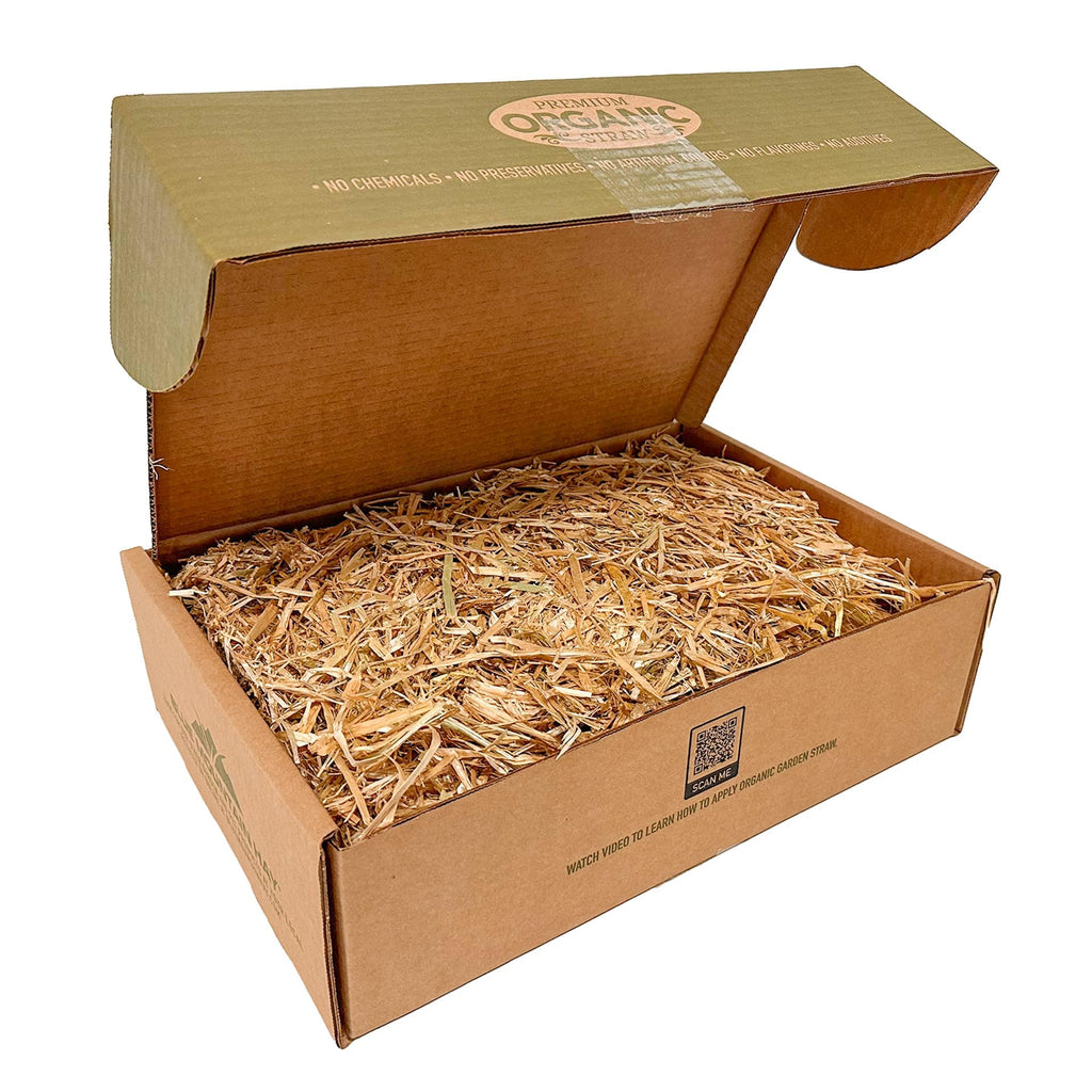 Blue Mountain Hay Organic Garden Straw (5 lb) - Natural Mulch for Gardening, Flower Beds & Landscaping, New Lawn Grass Seeding, Compost, Raised Garden Bed, Cat Grass & Grass Seed