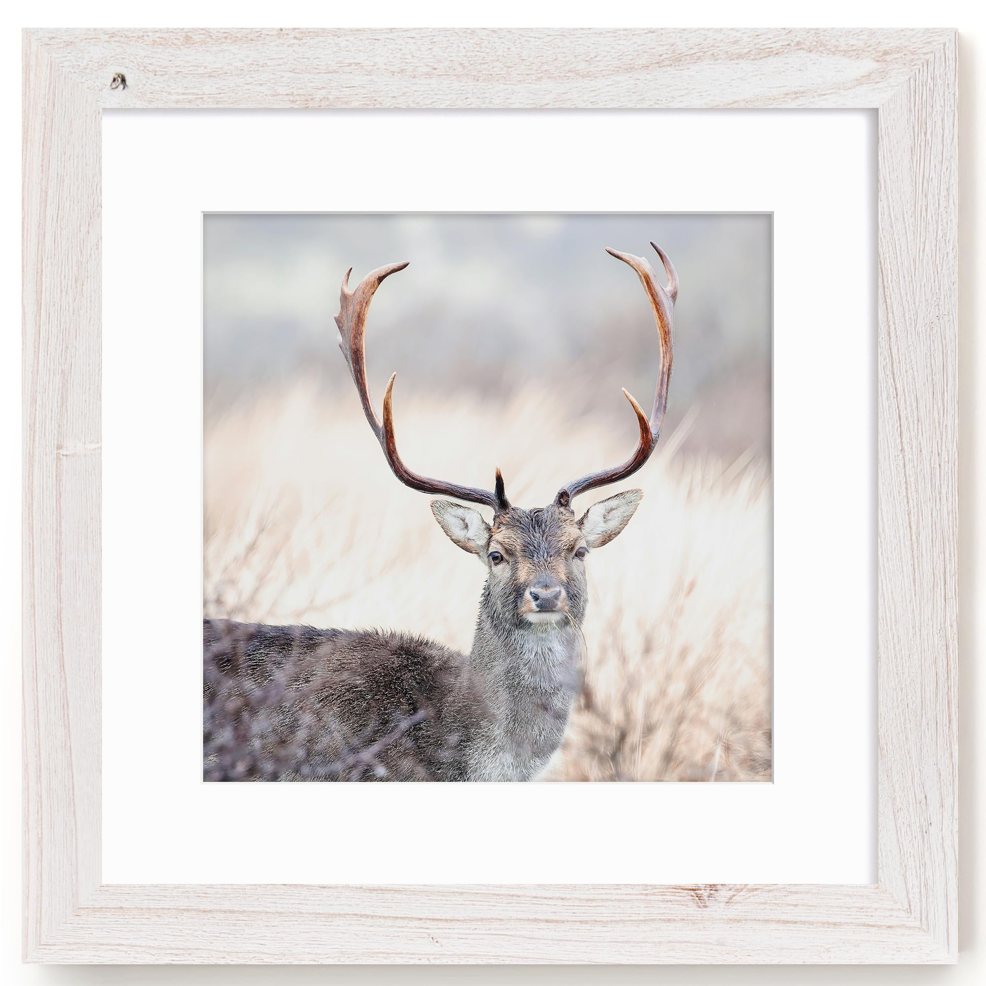 Fun Memories 5x7 Picture Frame with Mat for 4x6 Photo, Solid Elm Wood & Tempered Glass, Rustic Wall & Tabletop Display Frame, Grey, 1 Pack