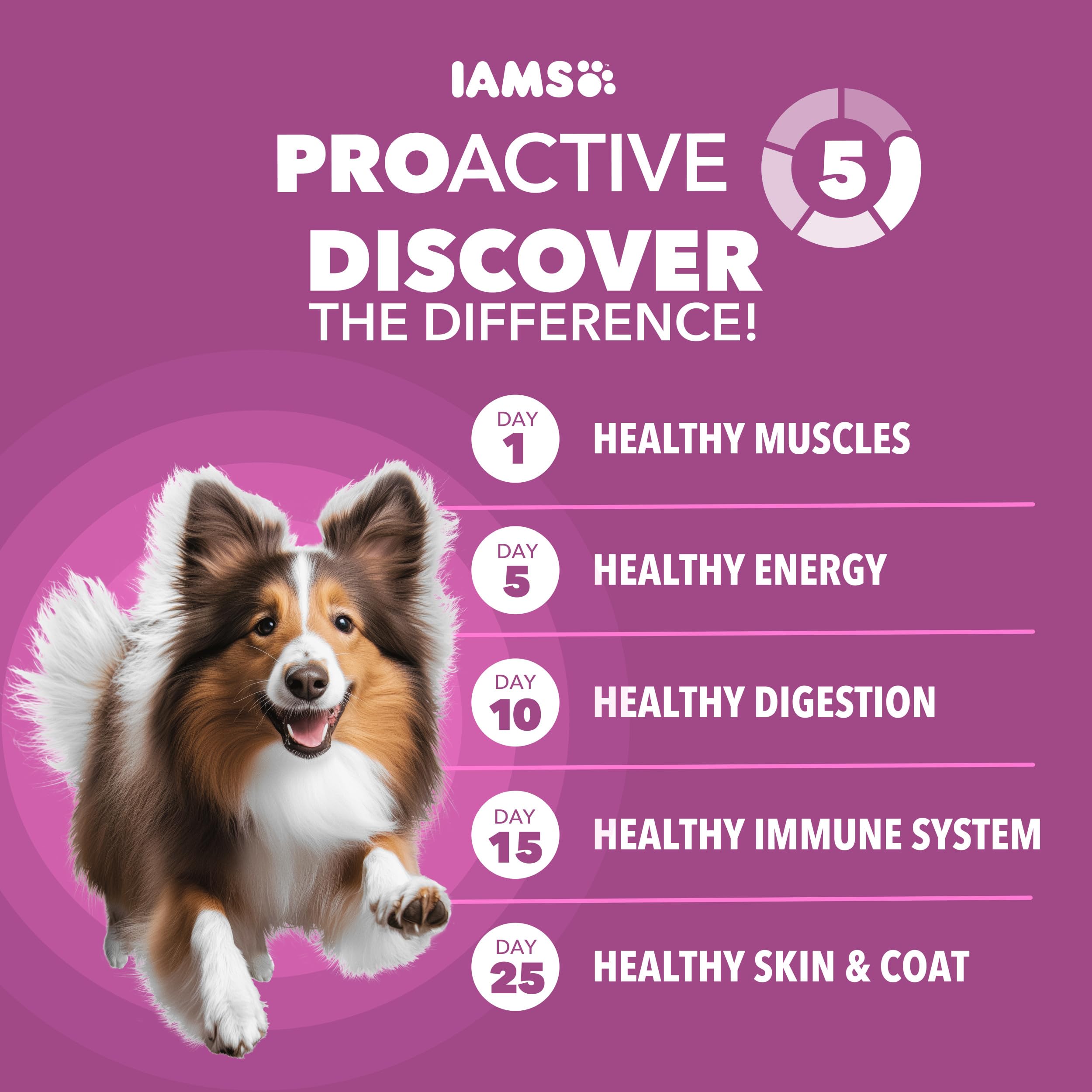 IAMS Proactive Health Dry Dog Food, Large Breed Mature Premium Adult Dog Food for Large Breeds, with Chicken, 15 Lb. Bag