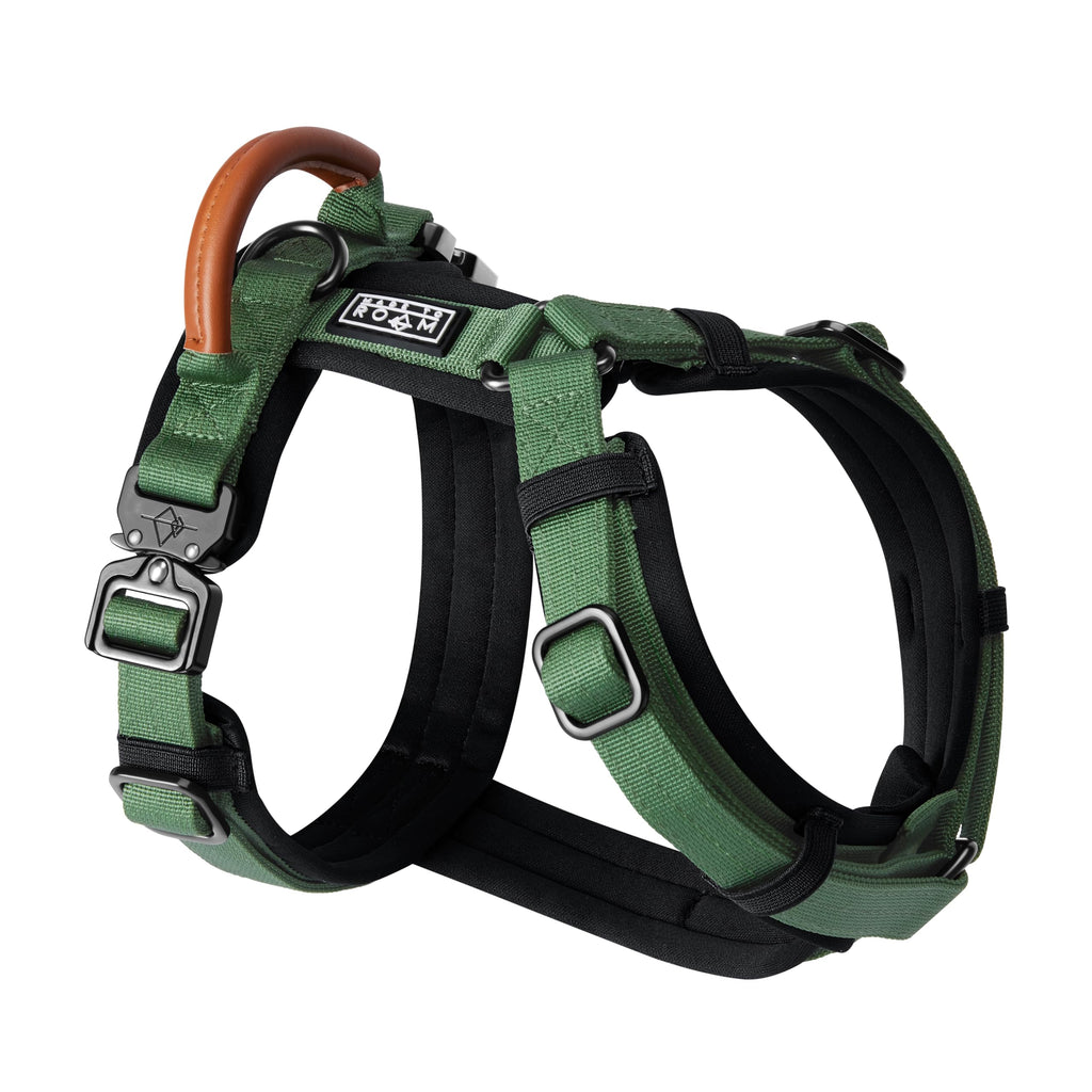 MADE TO ROAM Premium Explorer Harness - Y-Shaped Dog Harness with Adjustable Durable Nylon, Soft Padding, Metal Buckles and Leather Handle for Small, Medium, Large Dogs (Alaska Daybreak, Size 1)