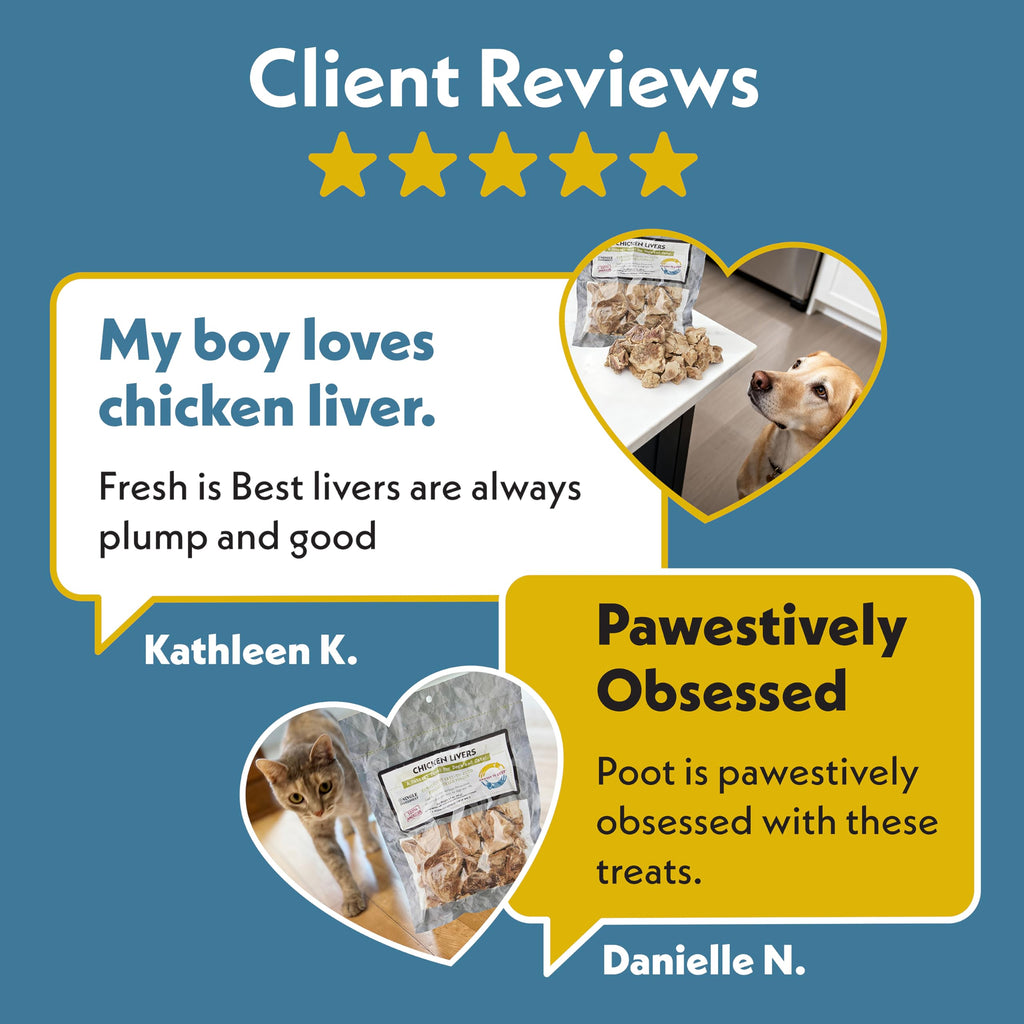 Fresh Is Best Freeze Dried Dog Treats - Raw Freeze Dried Chicken Breast for Dogs & Cats - Healthy Dog Training Treats in Resealable Zipper Bag - High-Protein Single Ingredient - Made in the USA