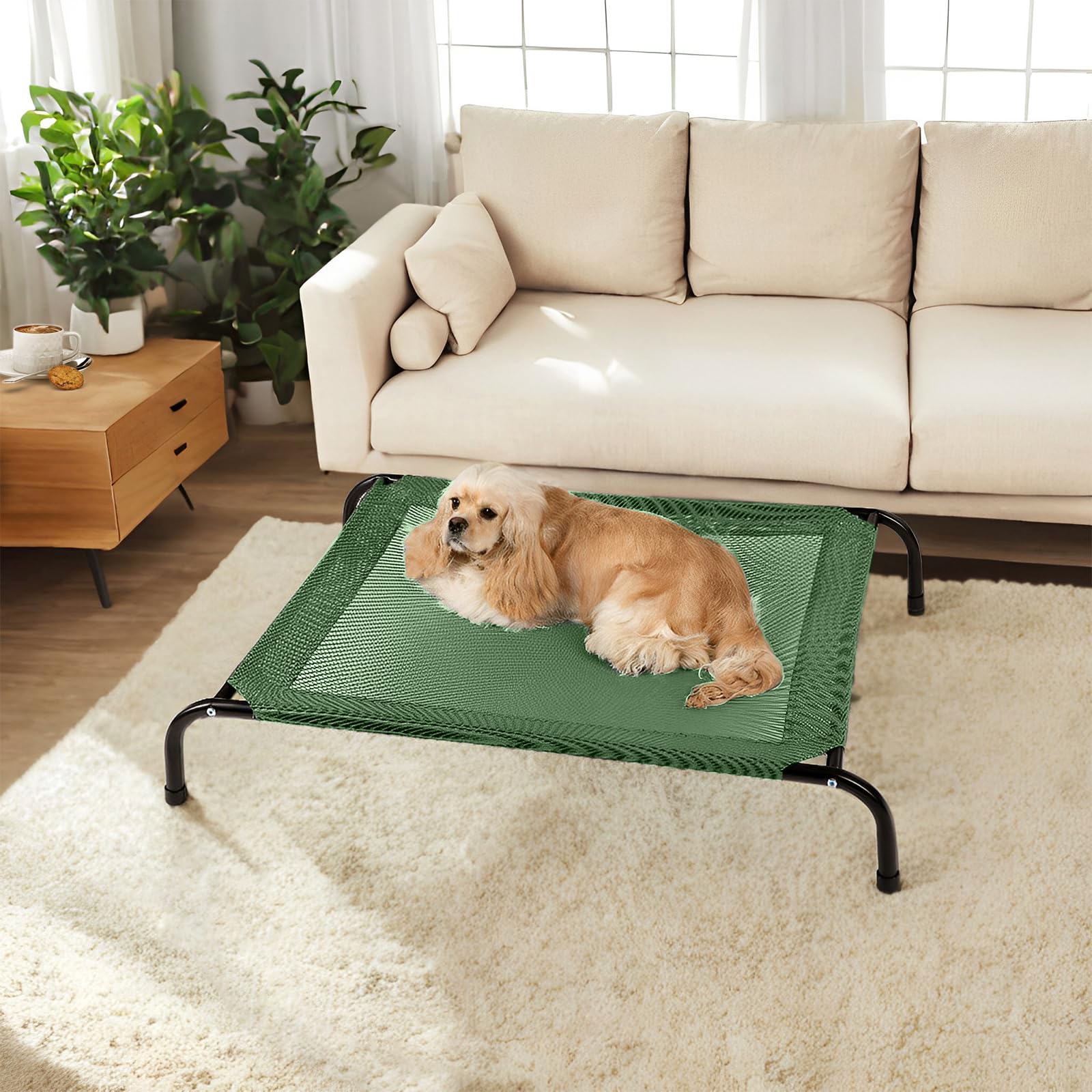 Cooling Elevated Dog Bed with Non-Slip Floor Protectors & Breathable Mesh, Raised Indoor & Outdoor Dog Cot Hammock, 34" L x 22" W x 8" Th, Small, Green