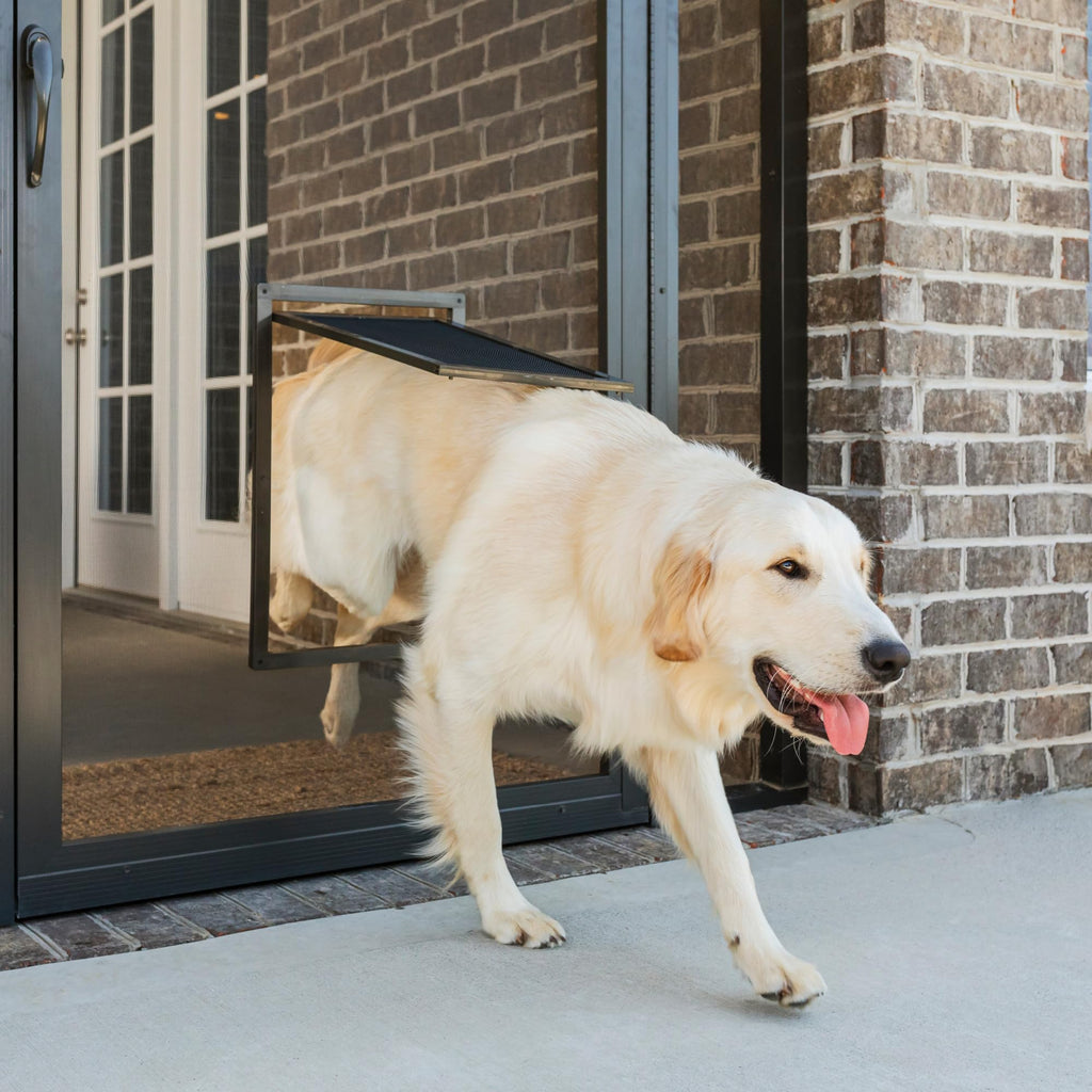 PetSafe Dog Door for Screen Door Size Large for Dogs and Cats up to 100 lb Use in Screen Doors Window Screens and Porch Screens