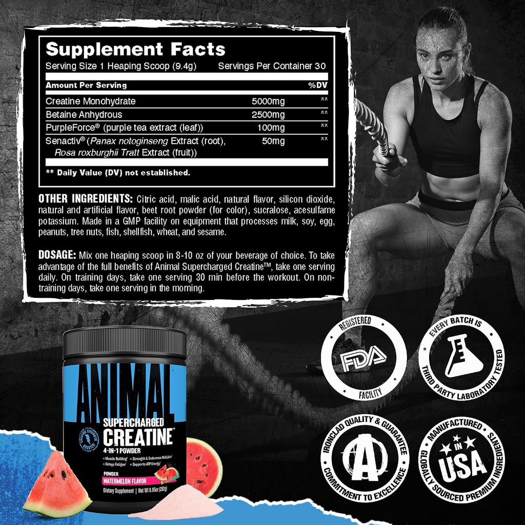 Animal Supercharged Creatine Powder - Flavored Creatine Monohydrate Enhanced with Betaine Anhydrous, PurpleForce & Senactiv, Strength, Endurance, Muscle Recovery for Men and Women - Watermelon, 300g