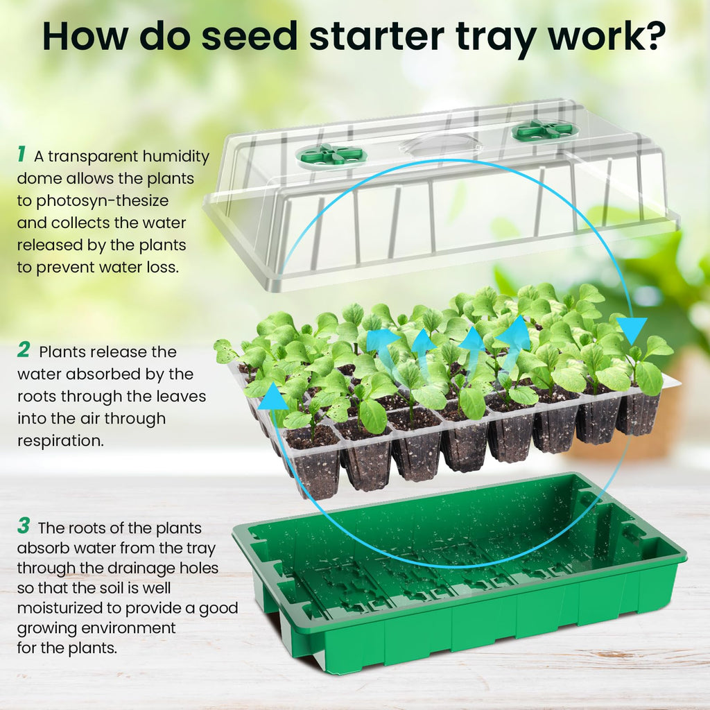 MIXC Seed Starter Tray with Lights, 2 Packs Mini Propagator Plant Grow Kit Greenhouse with Humidity Vented Domes and Base for Seeds Starting, Black